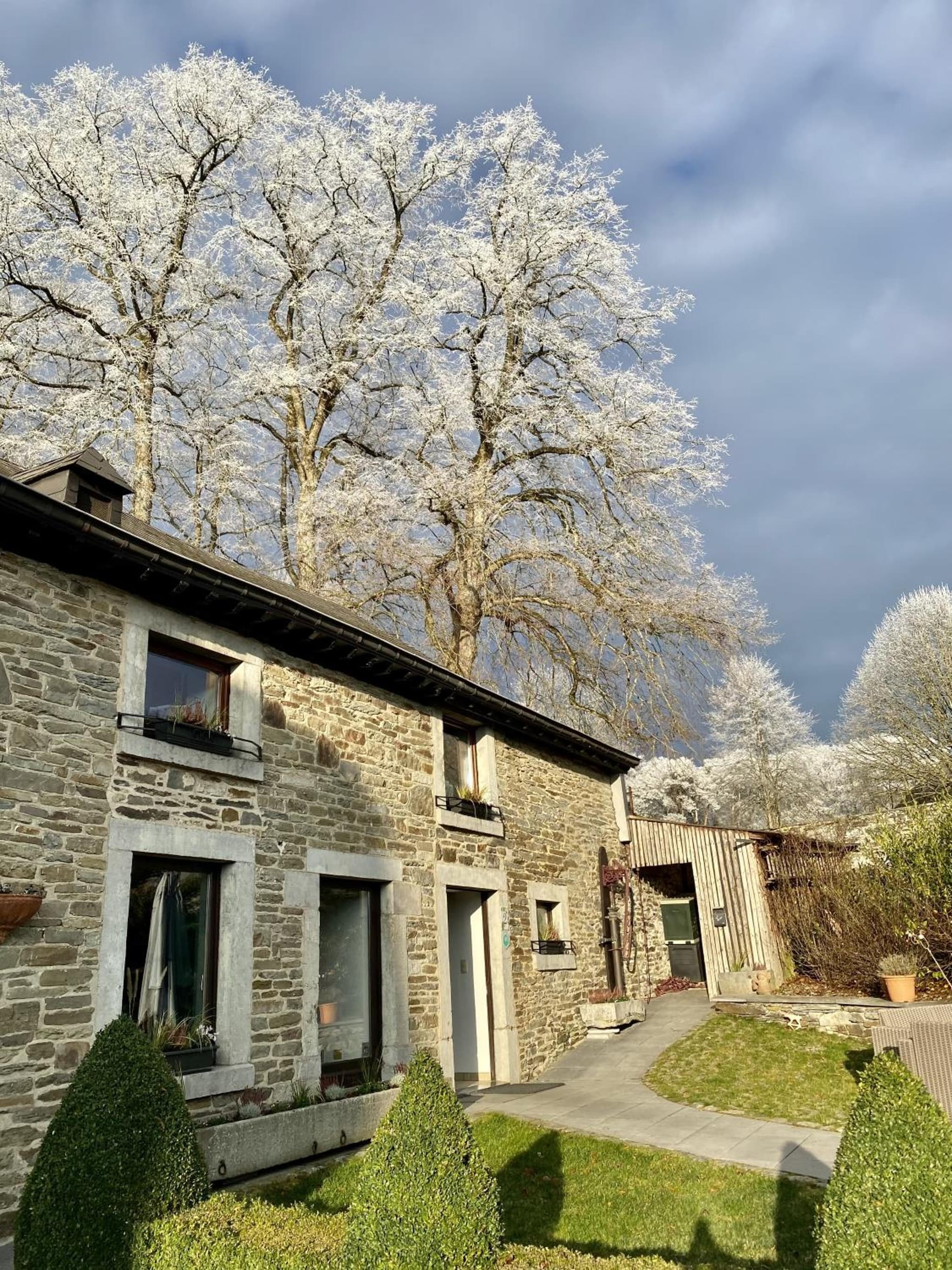 Le Marronnier photo 2