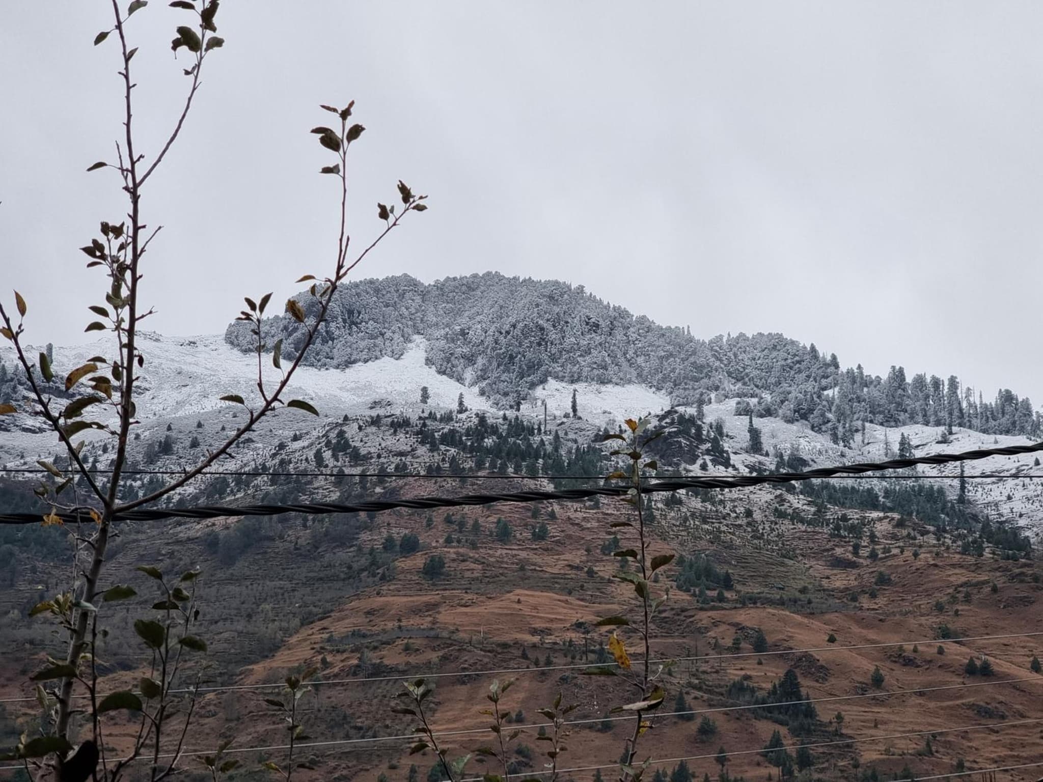 The Bunker Burwa Manali photo 9