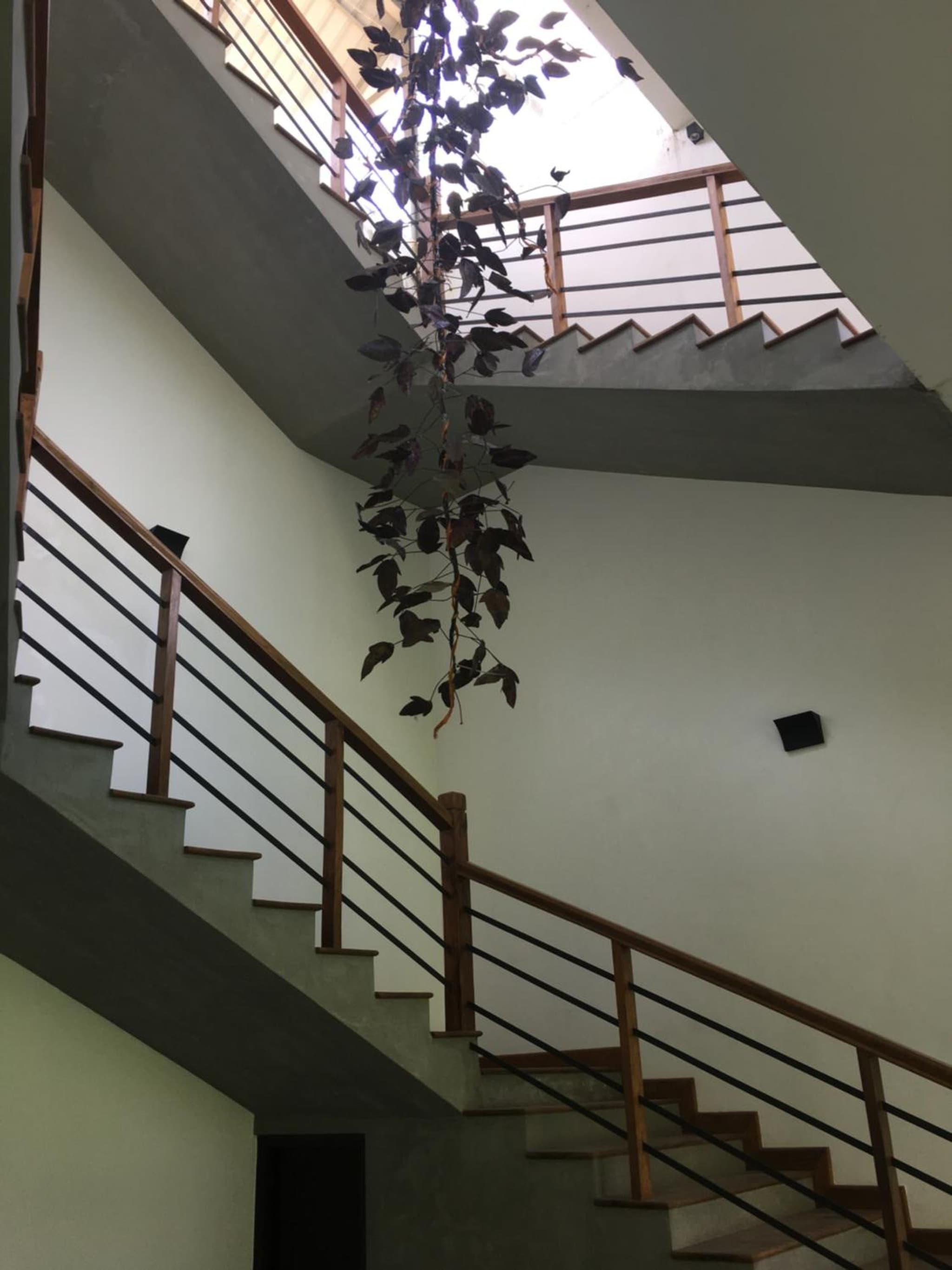 Skyloft Hostel photo 2