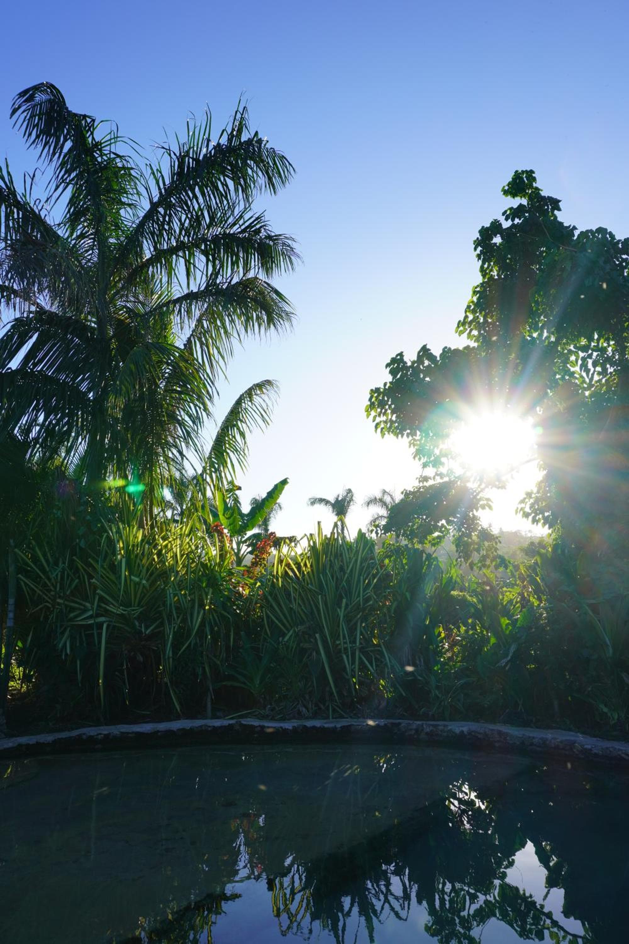 Samana Ecolodge photo 5