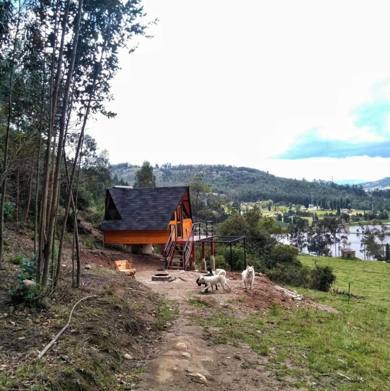 Glamping refugio Gaia photo 5