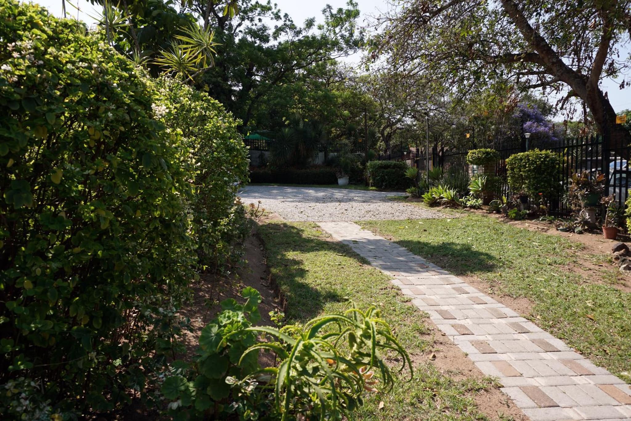 Sheba Rock Guesthouse photo 5