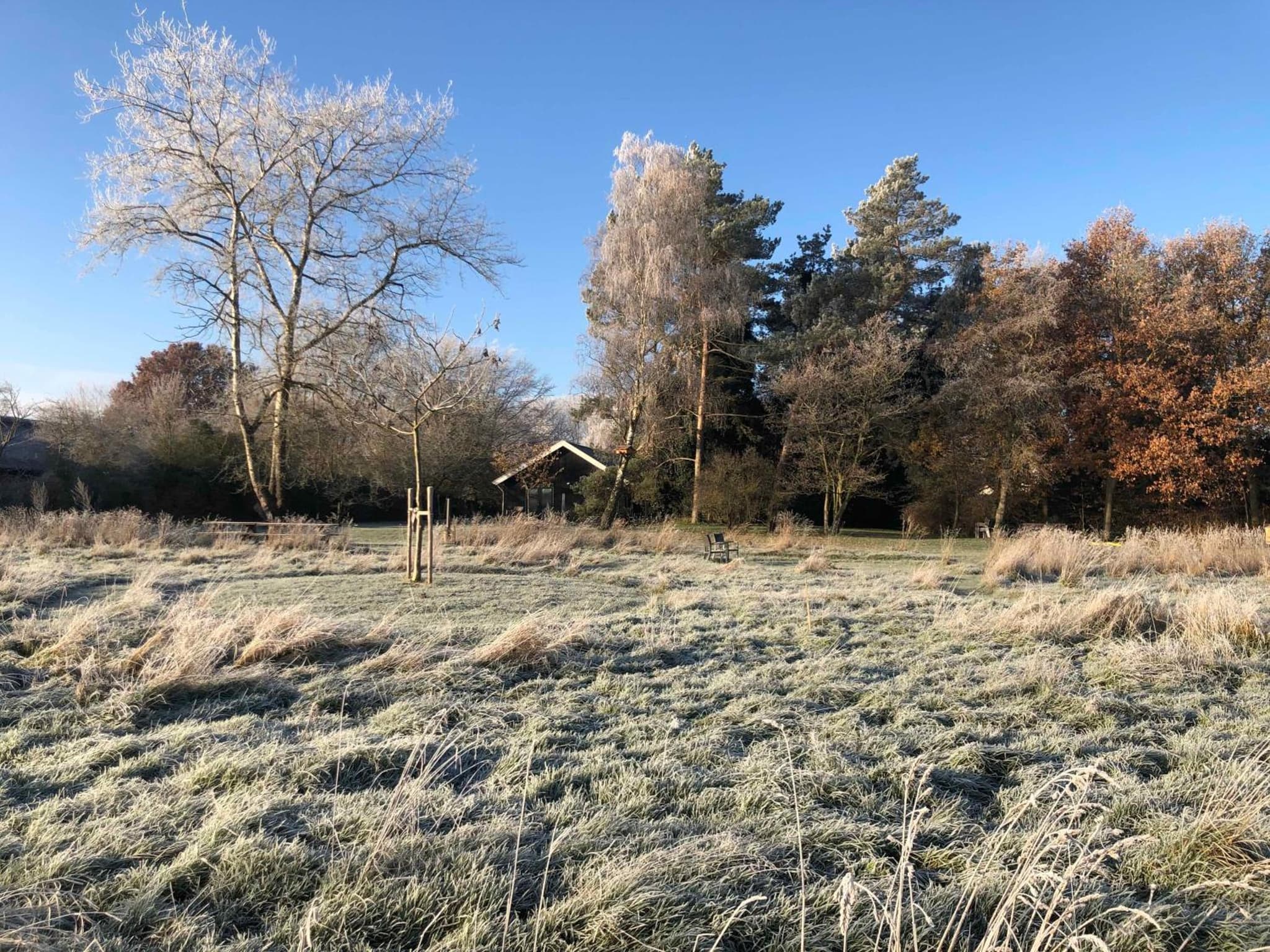 IJsselgoud photo 3
