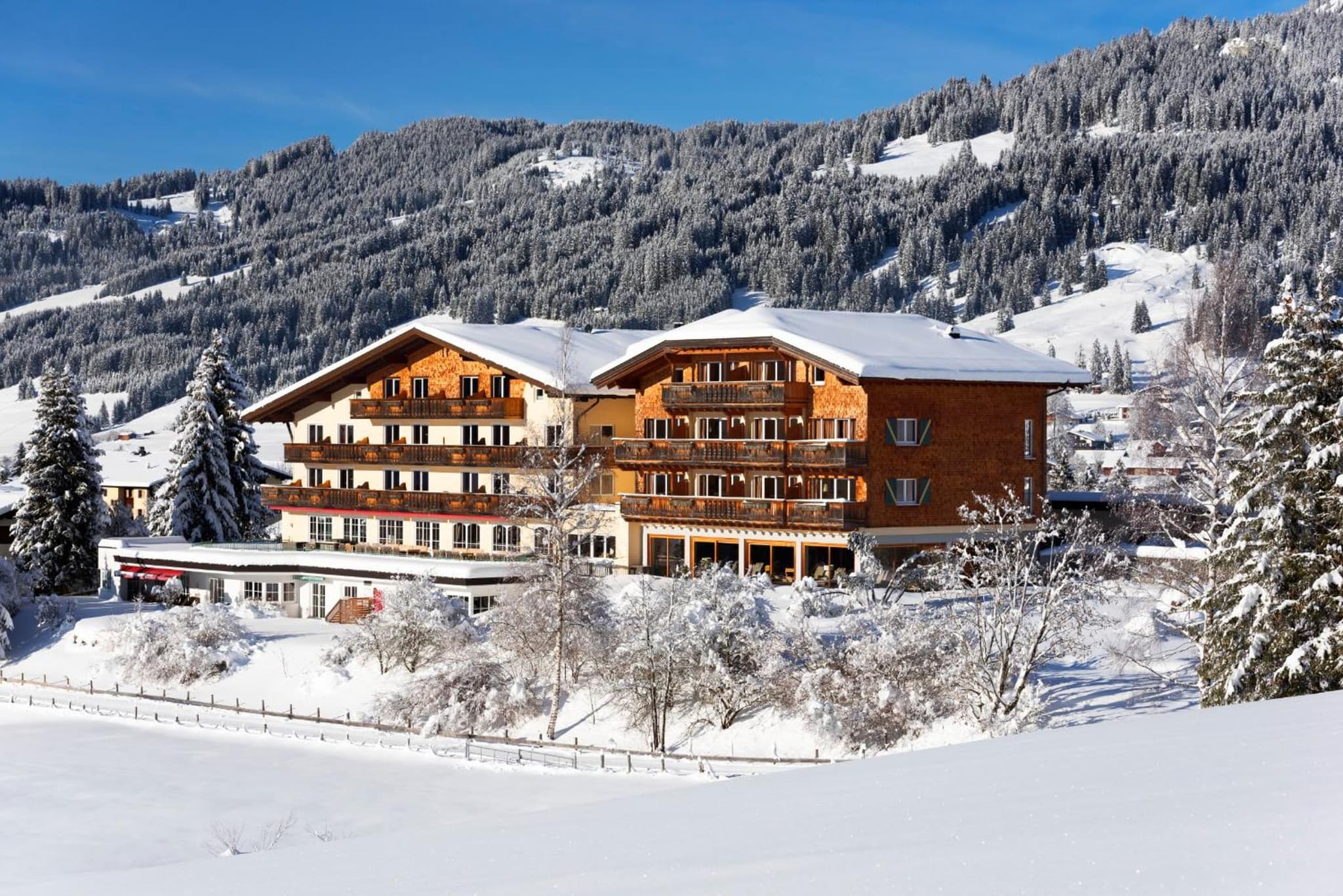 Hotel Hohenfels photo 8