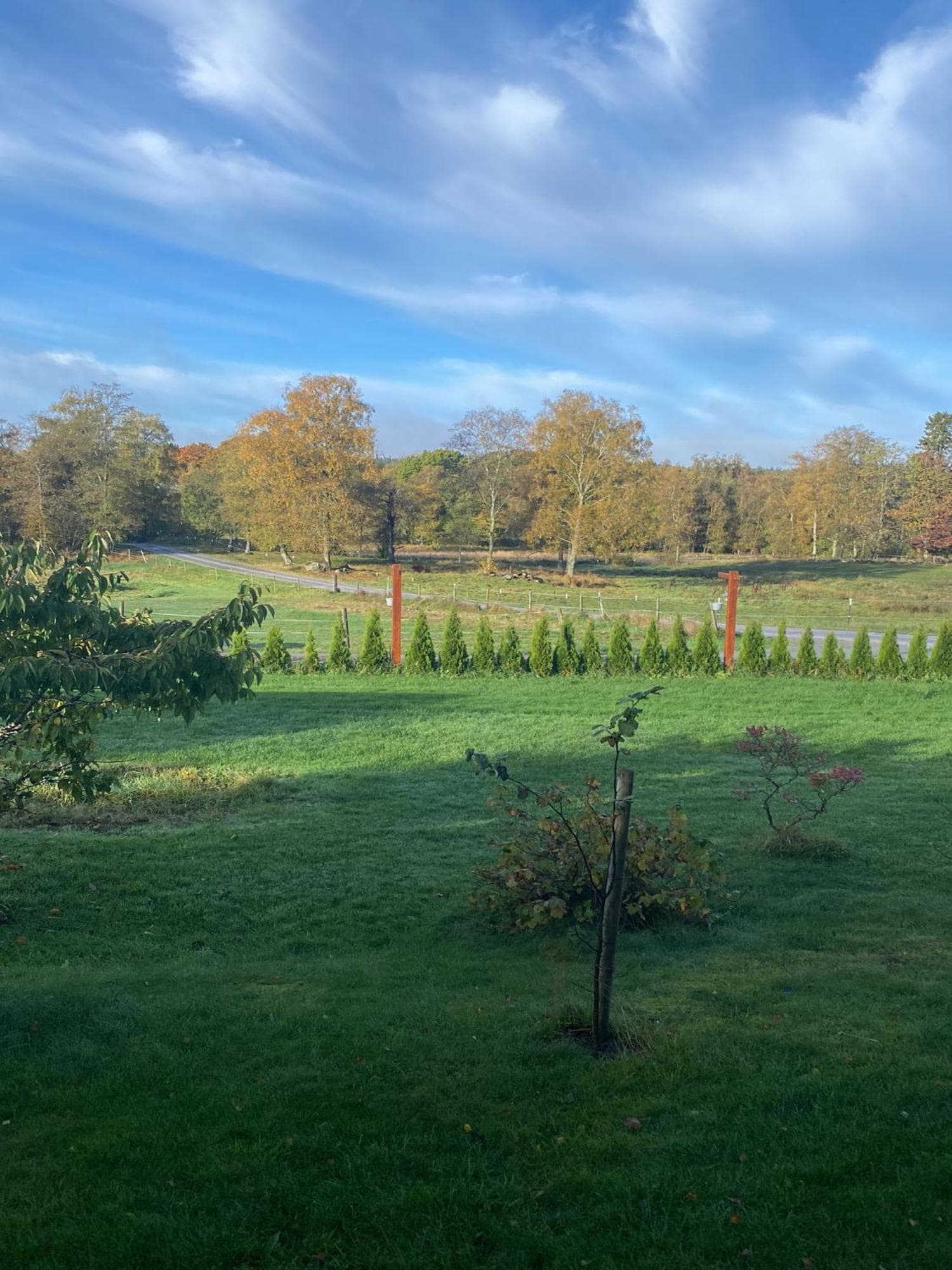 Spjutås Gård photo 8
