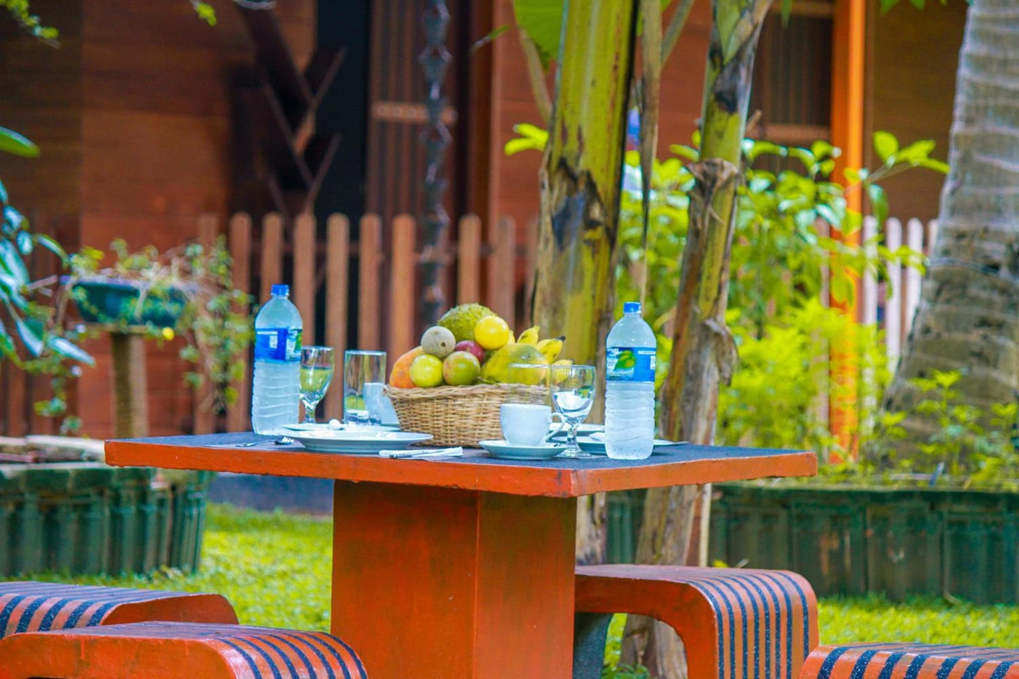 Machcha Lodge Sigiriya photo 8