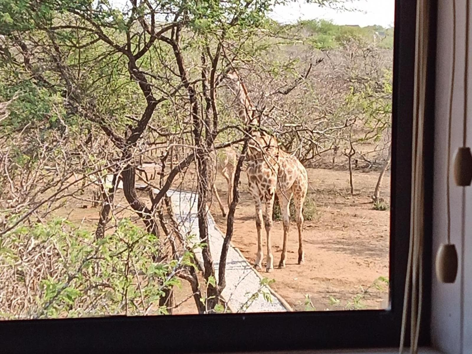 Marloth Kruger View photo 5