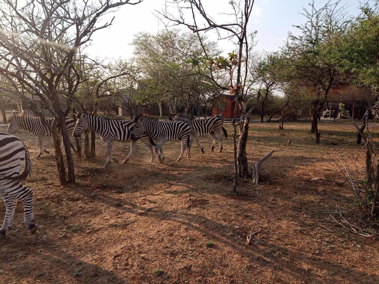 Marloth Kruger View photo 2
