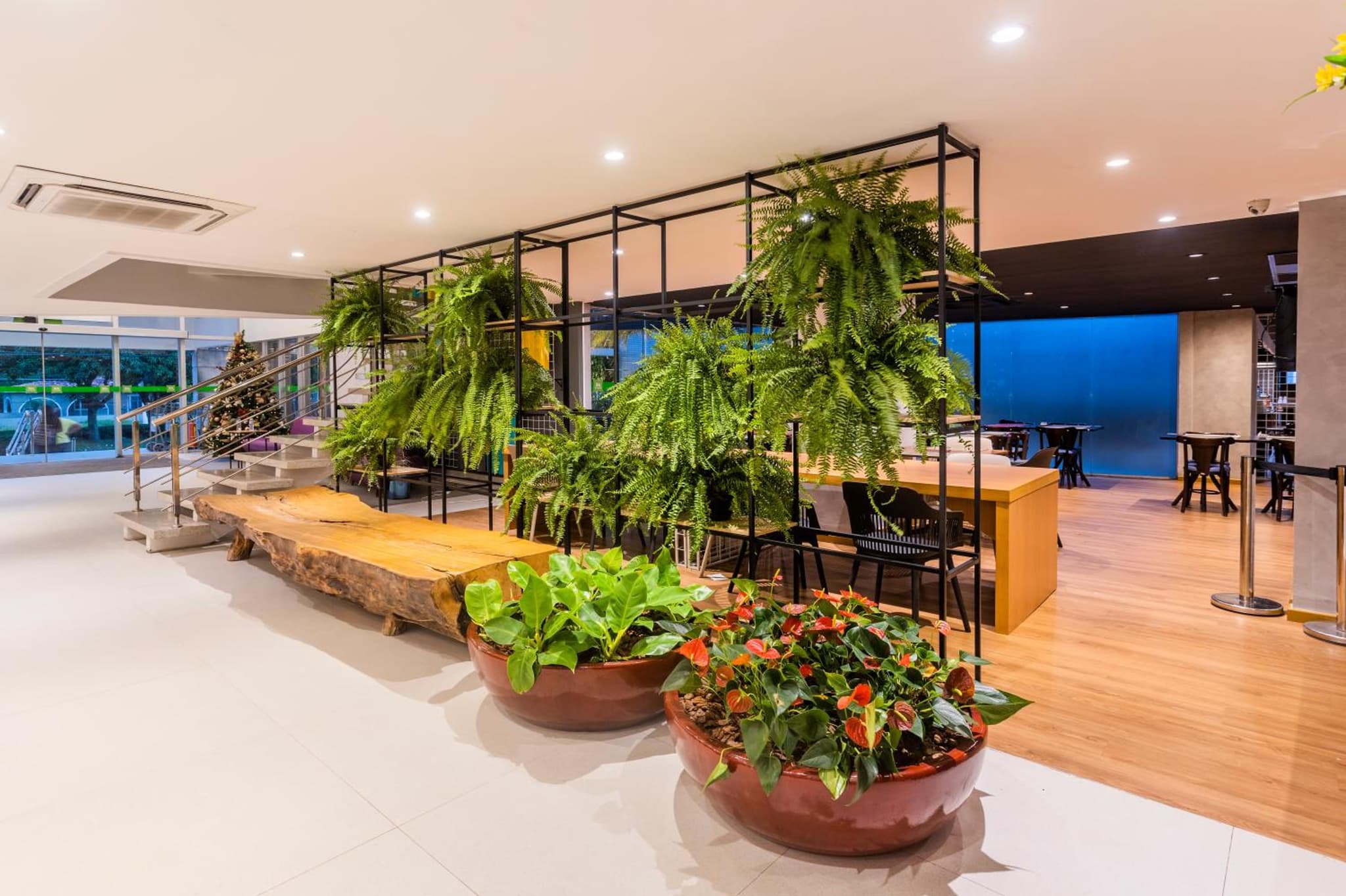 Ibis Styles Belém Hangar photo 5