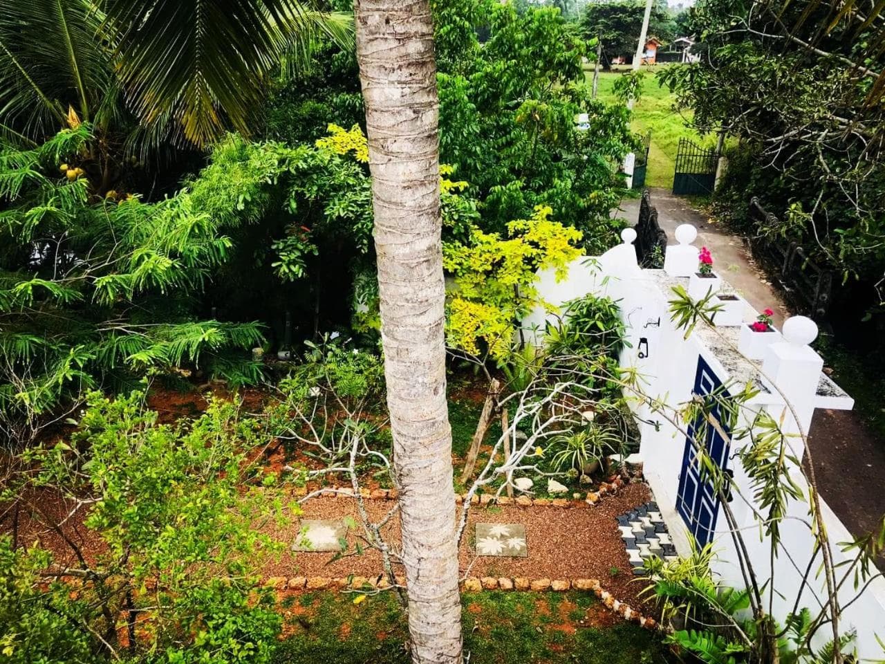 Sriyan Boutique Villa photo 2