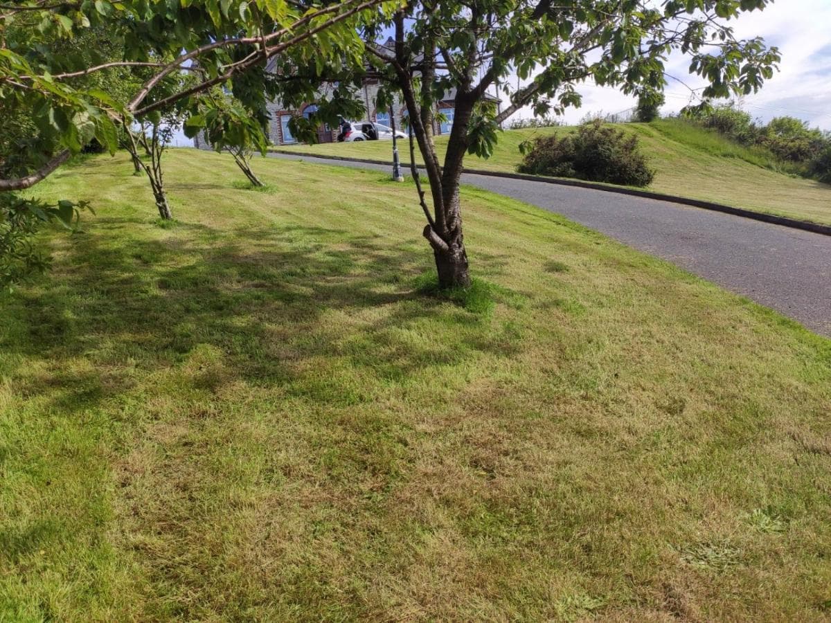 Ballylawn Lodge photo 4