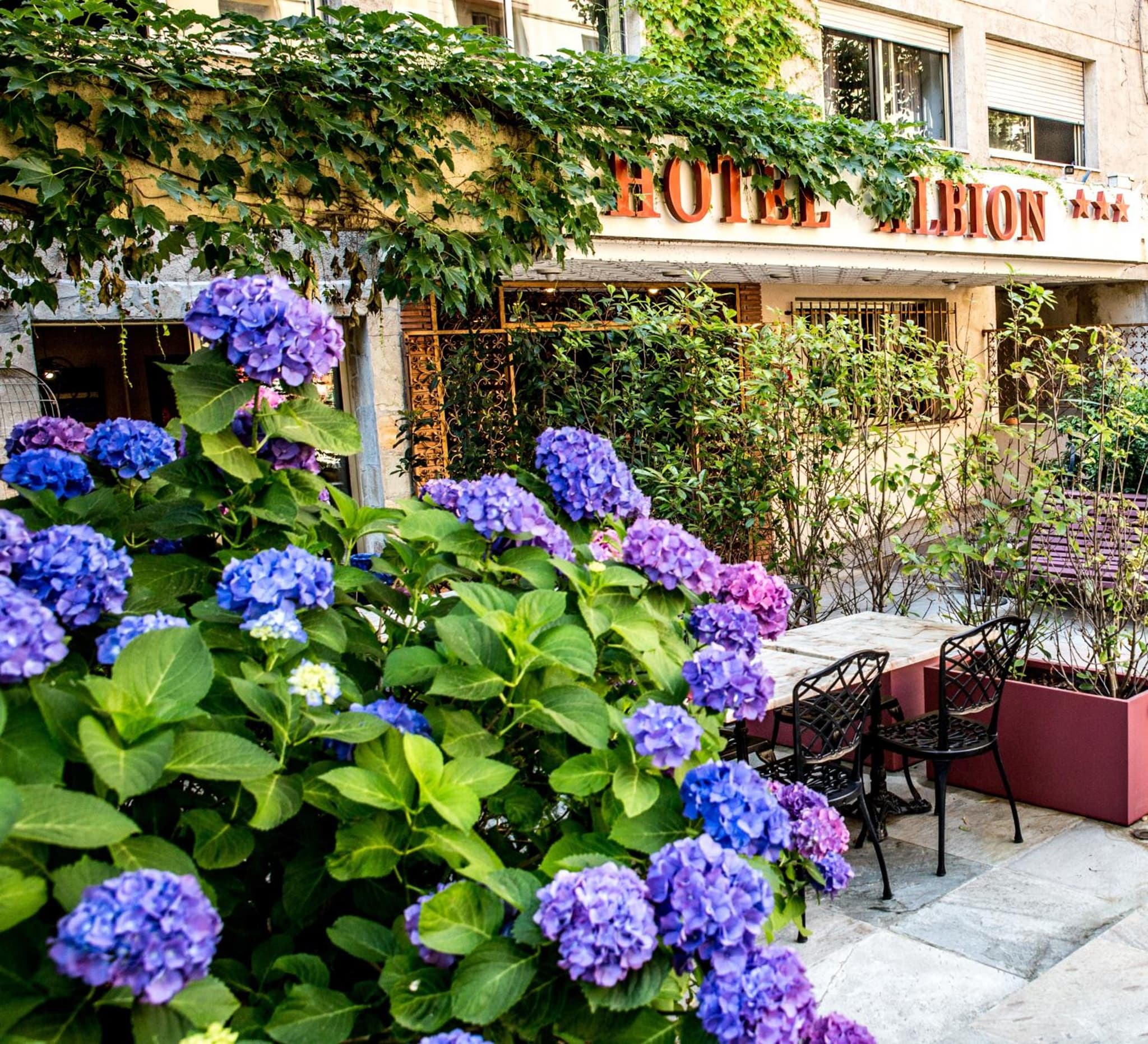 Hôtel Albion photo 4