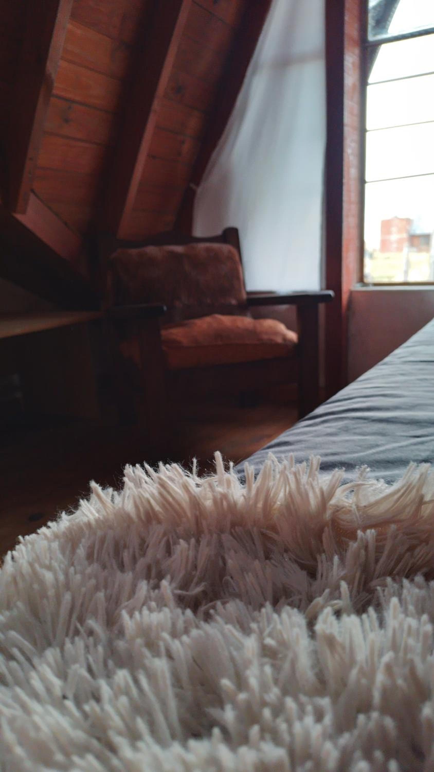 La Casita de Carla photo 8