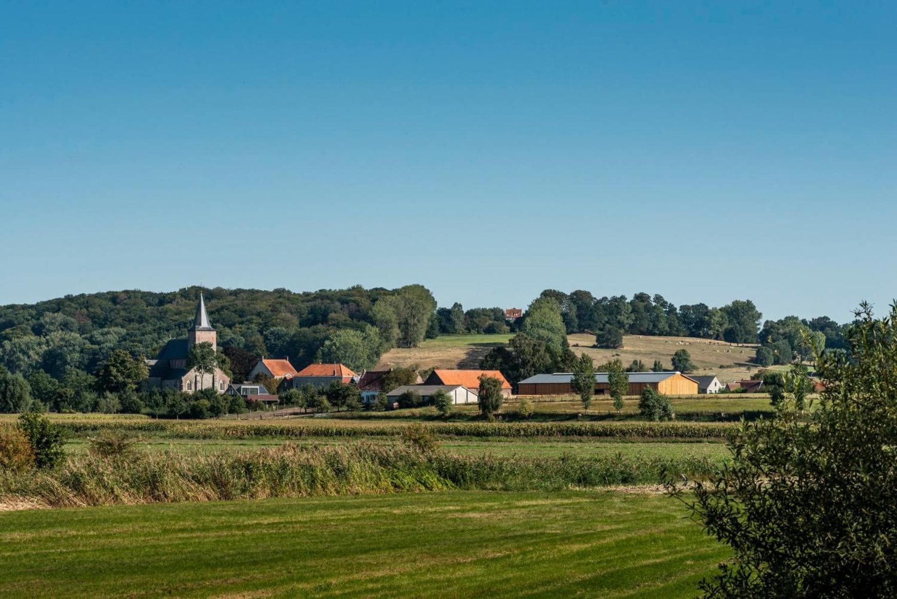 B&B Martinushoeve photo 8