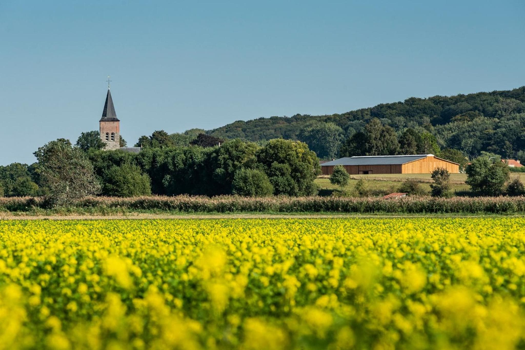 B&B Martinushoeve