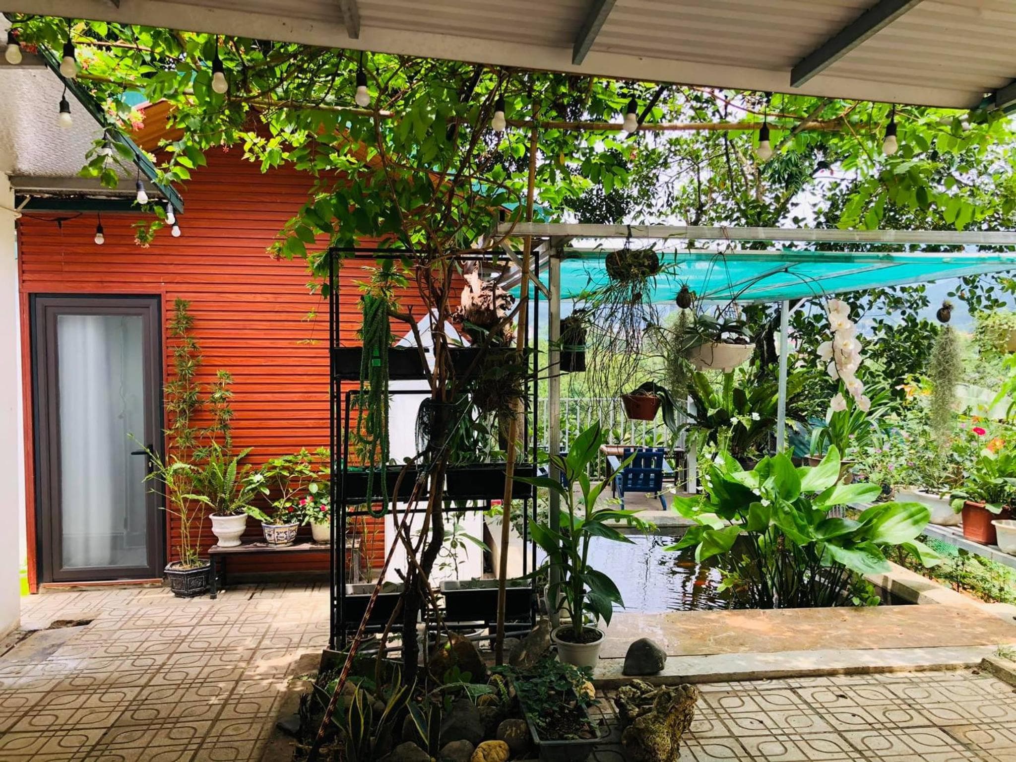 AK Homestay - Motorbike Rental - Peaceful Stay in Cao Bang photo 4