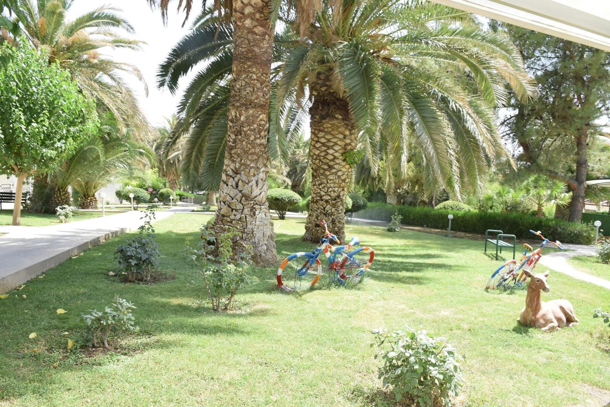 Pam Thermal Hotel Clinic & Spa photo 9