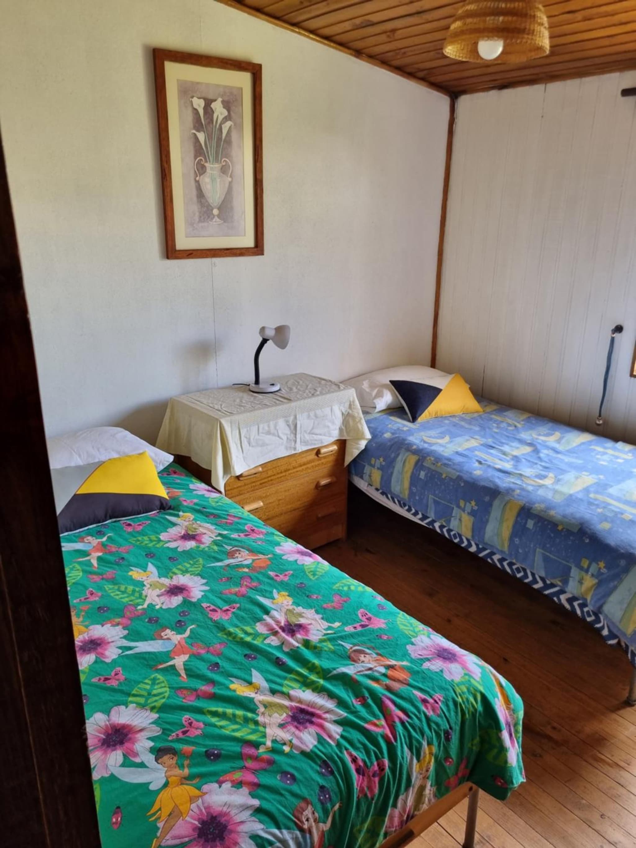 Casas Pamelas photo 3