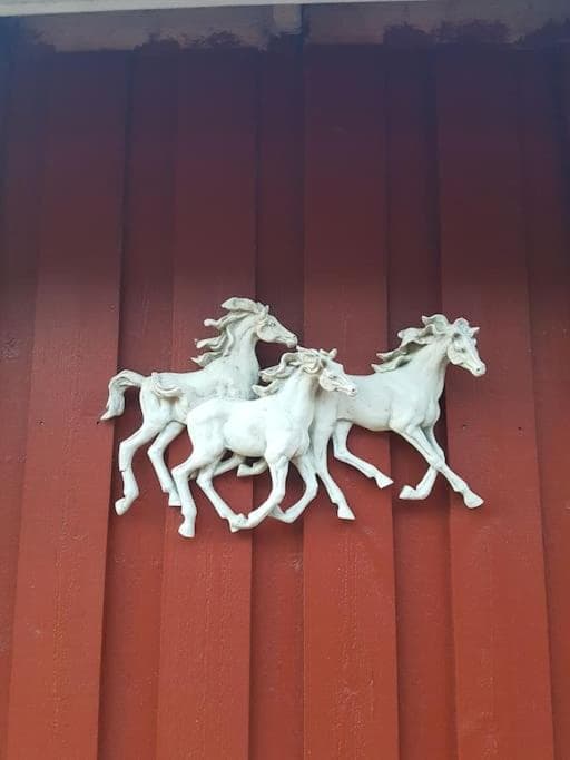 River Run Ranch - Telemark photo 4