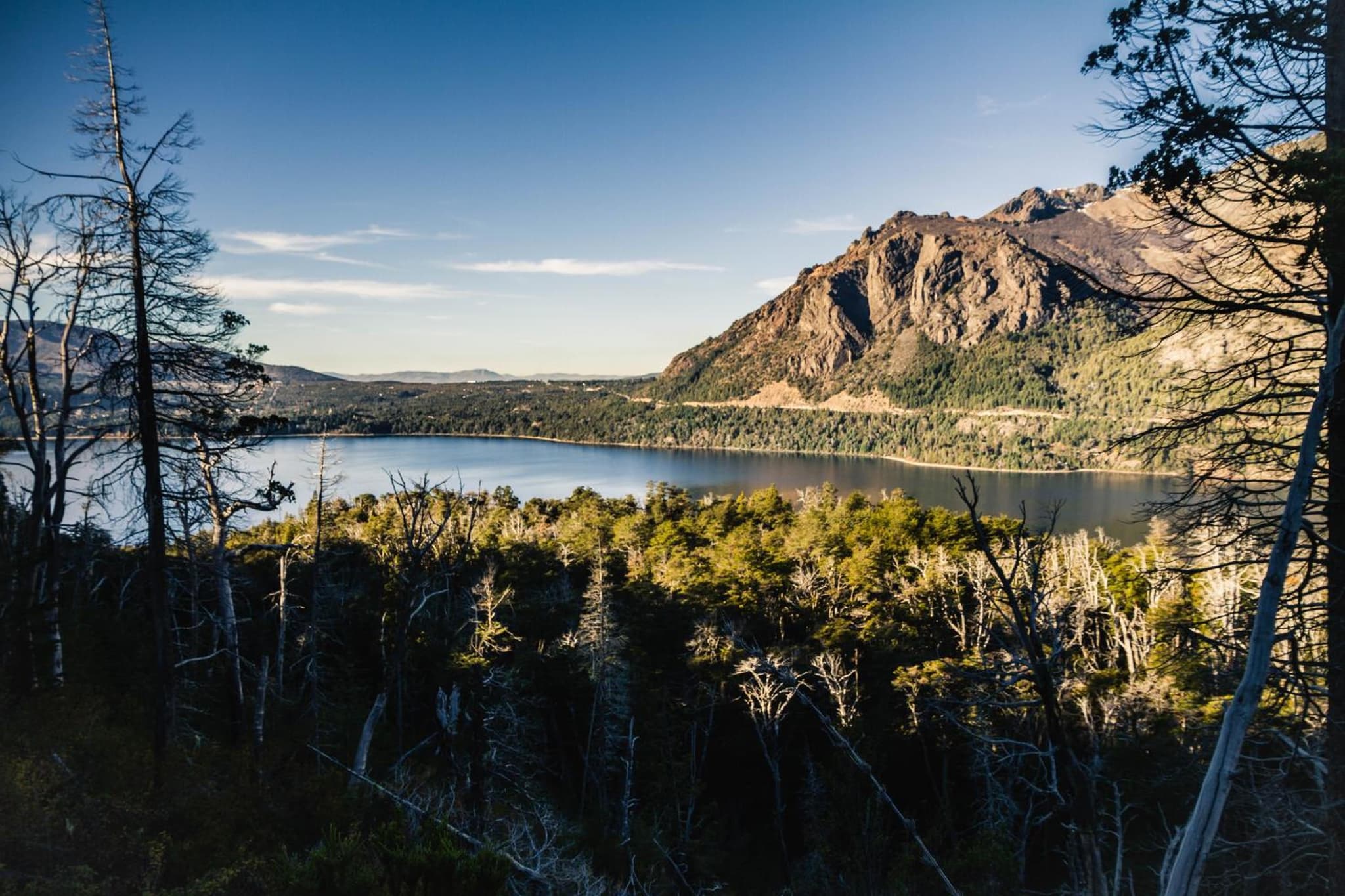 Los Coihues camping & hostel photo 6