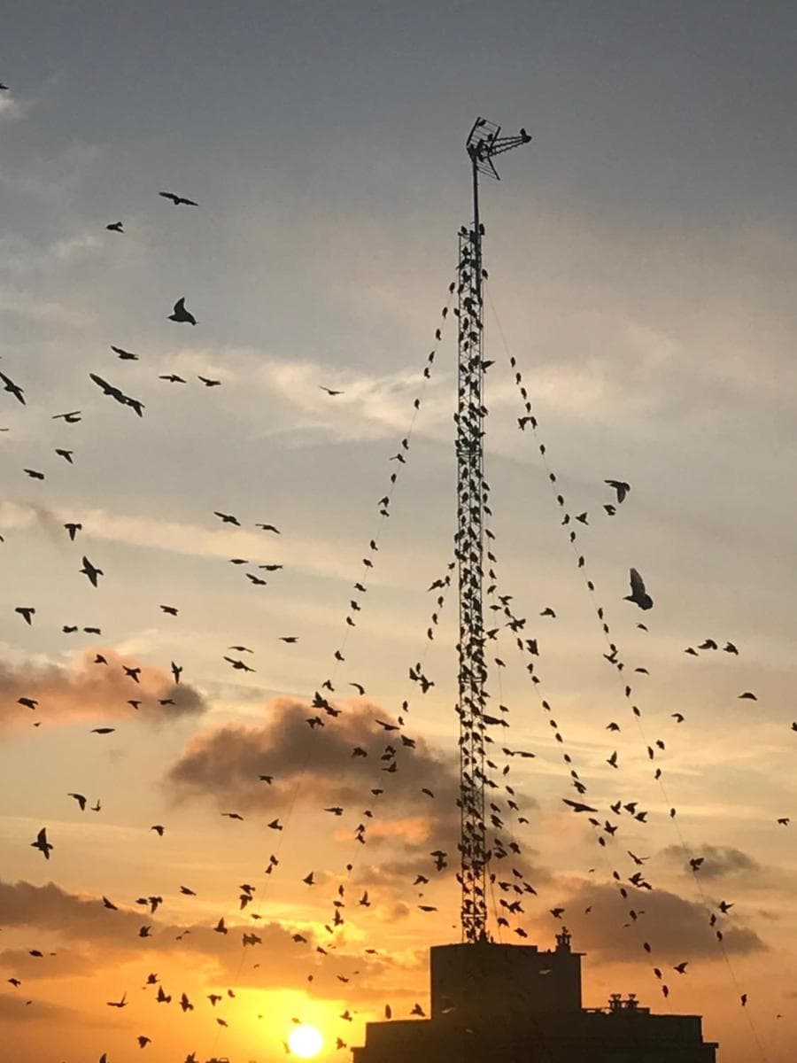 Hermosos atardeceres … photo 4