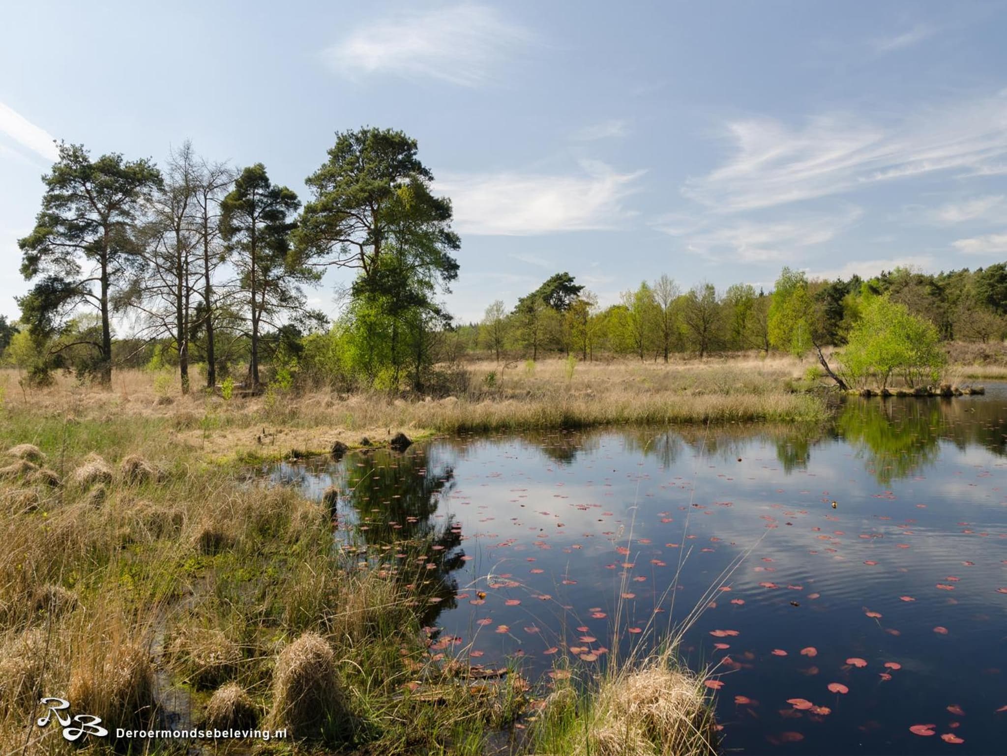 De Roermondse beleving photo 4