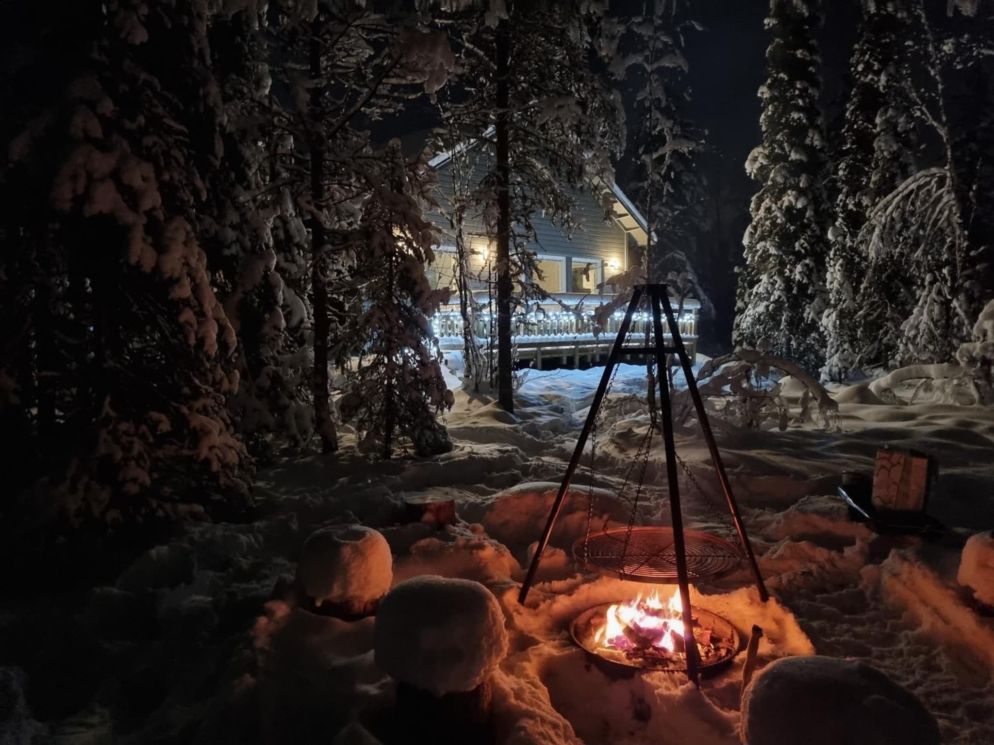 Ylläs Terhakka photo 5