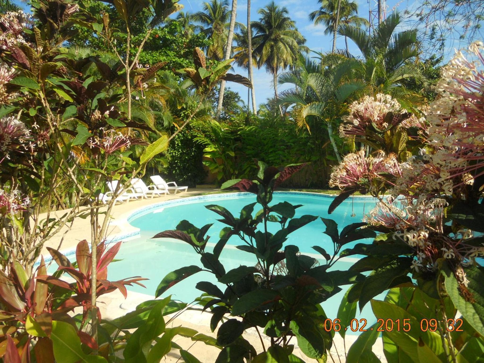Caoba photo 9