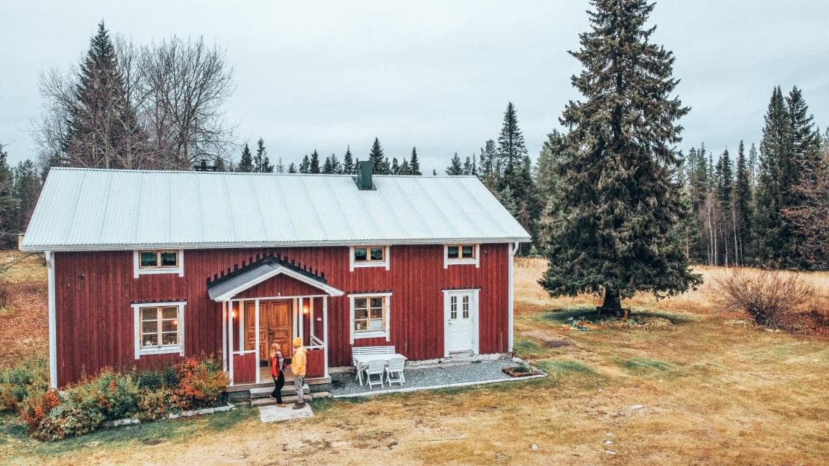 Taiga Forest Lodge photo 2