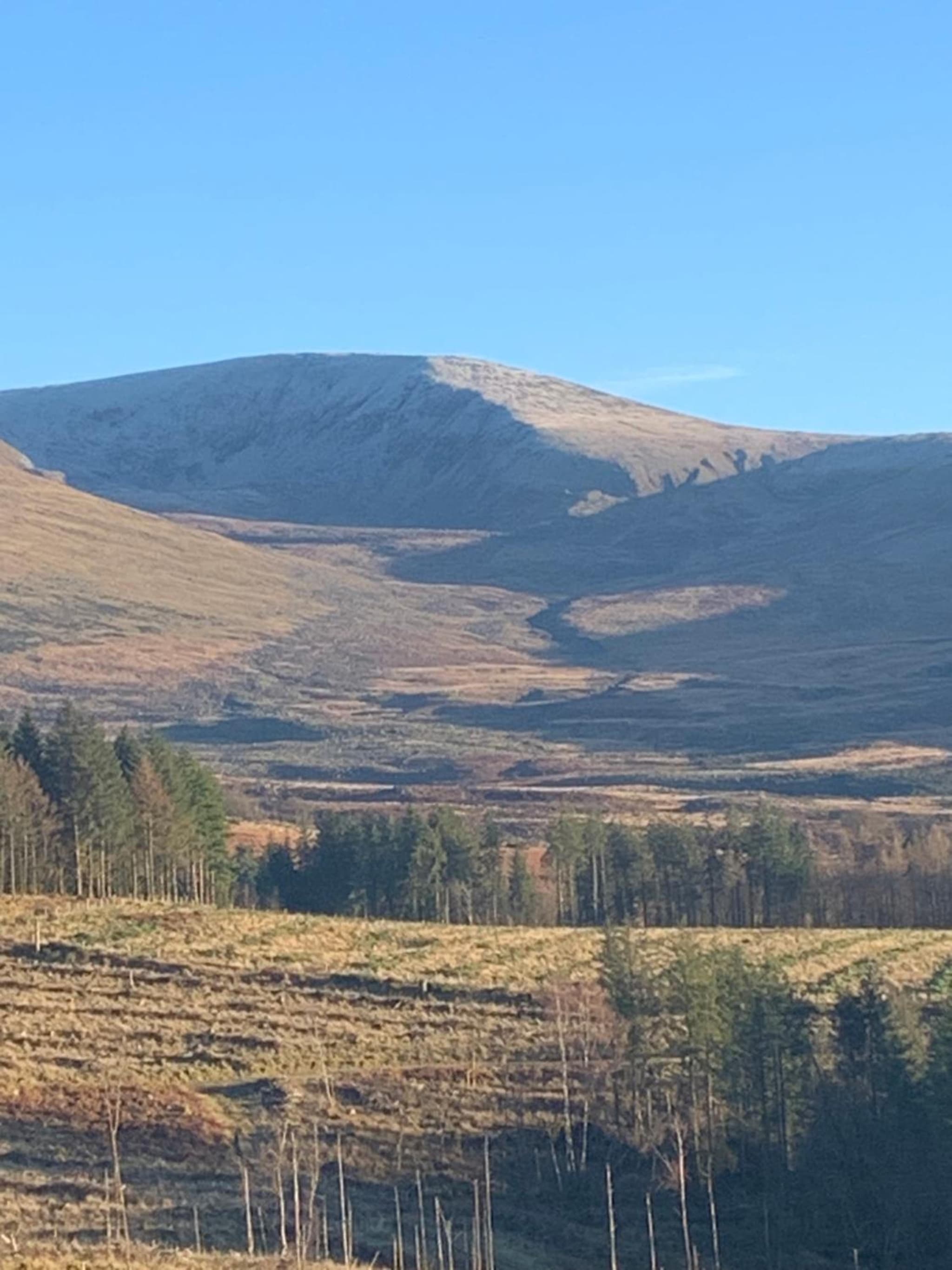 Ballyteige Lodge photo 3