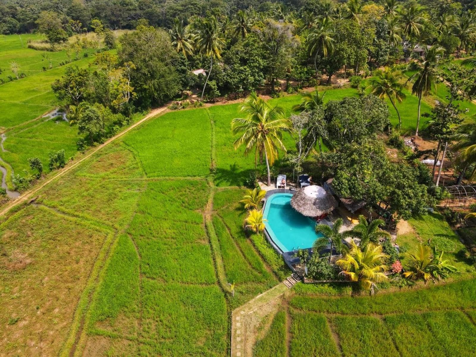 Nelu Villa Sigiriya photo 8