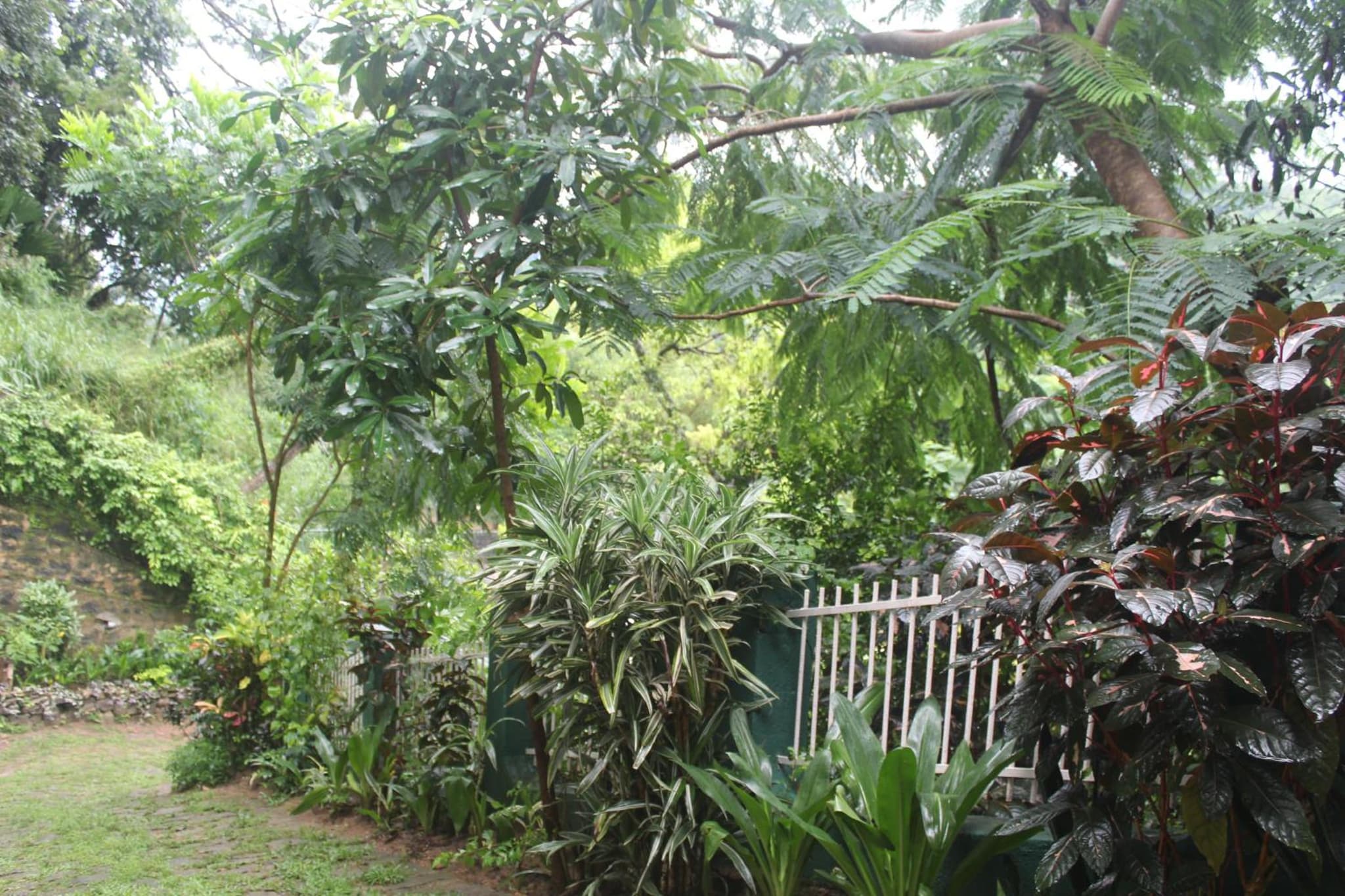 Lazy Bear Best Hostel in Kandy photo 2