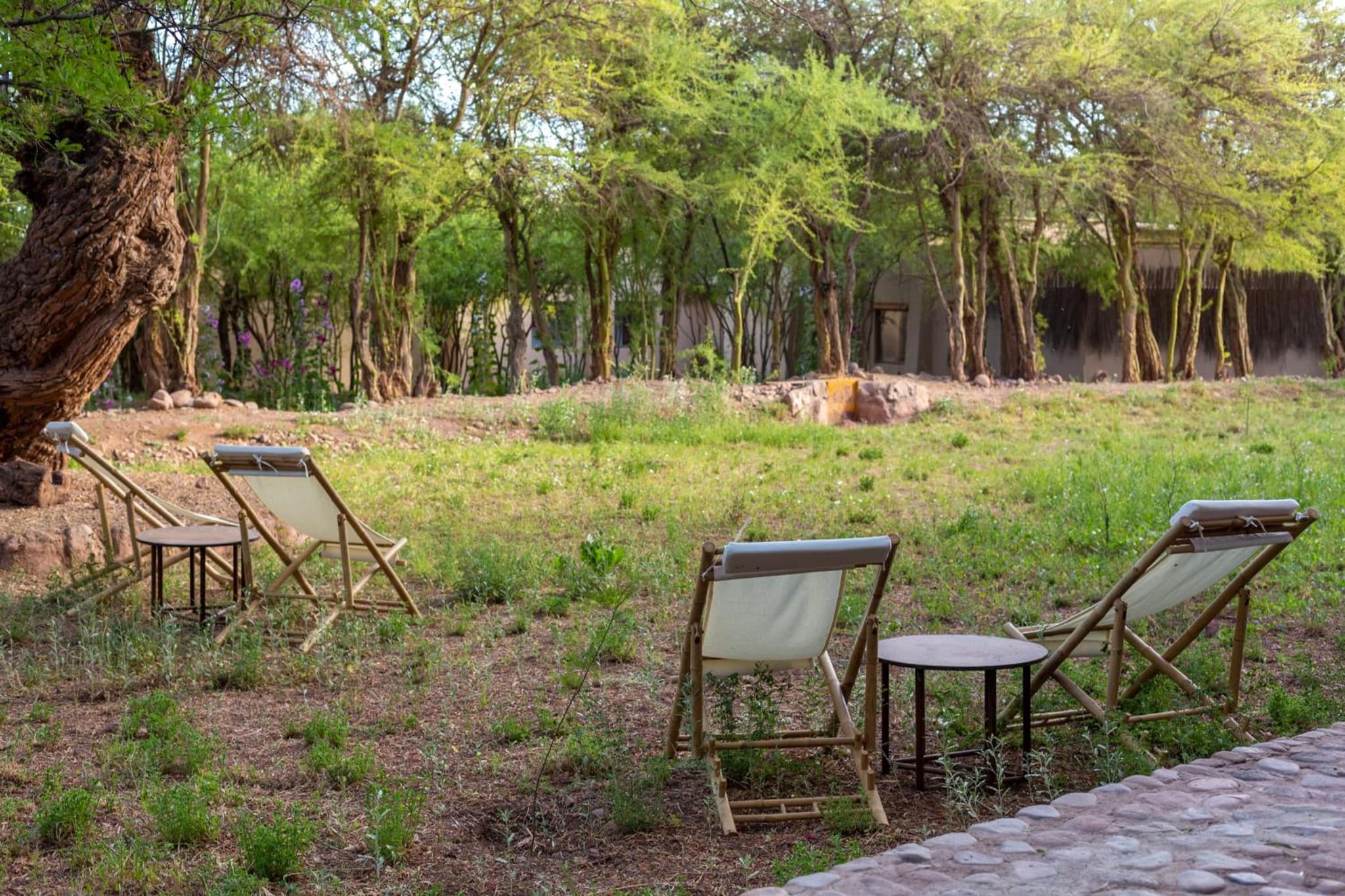 Casa Solcor Boutique Bed & Breakfast photo 7