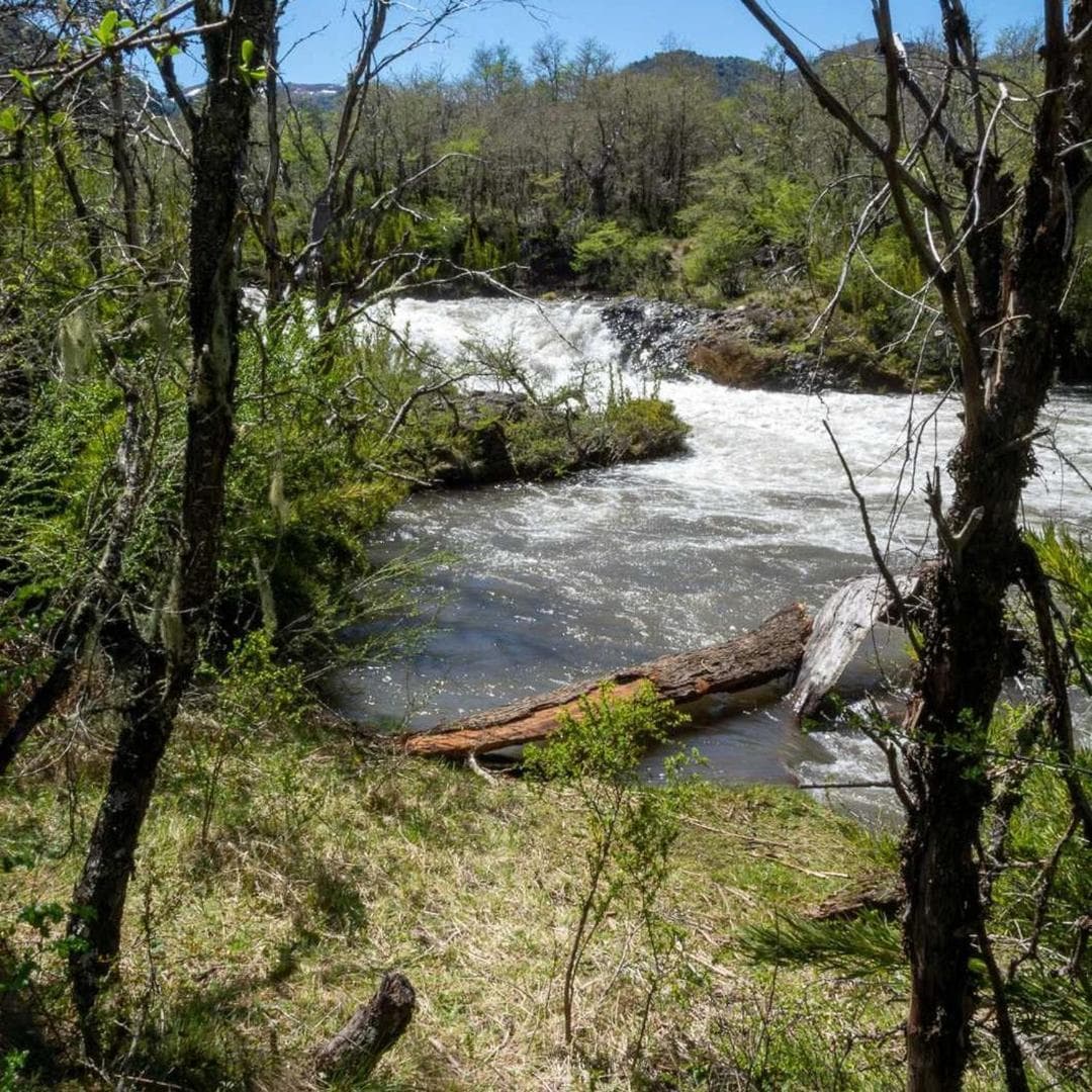Los Cantos del Agua photo 4