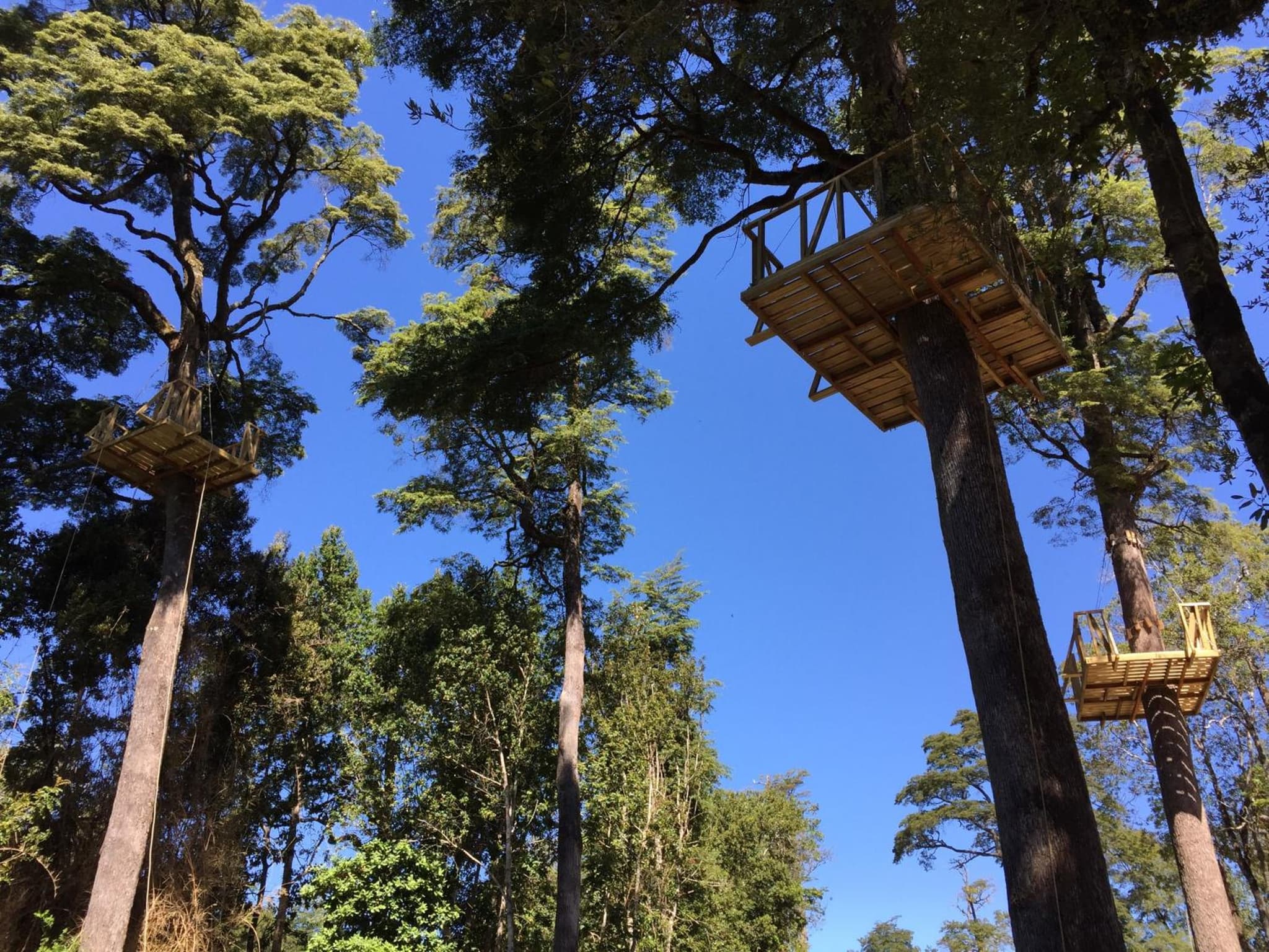Los Lingues Lodge photo 5