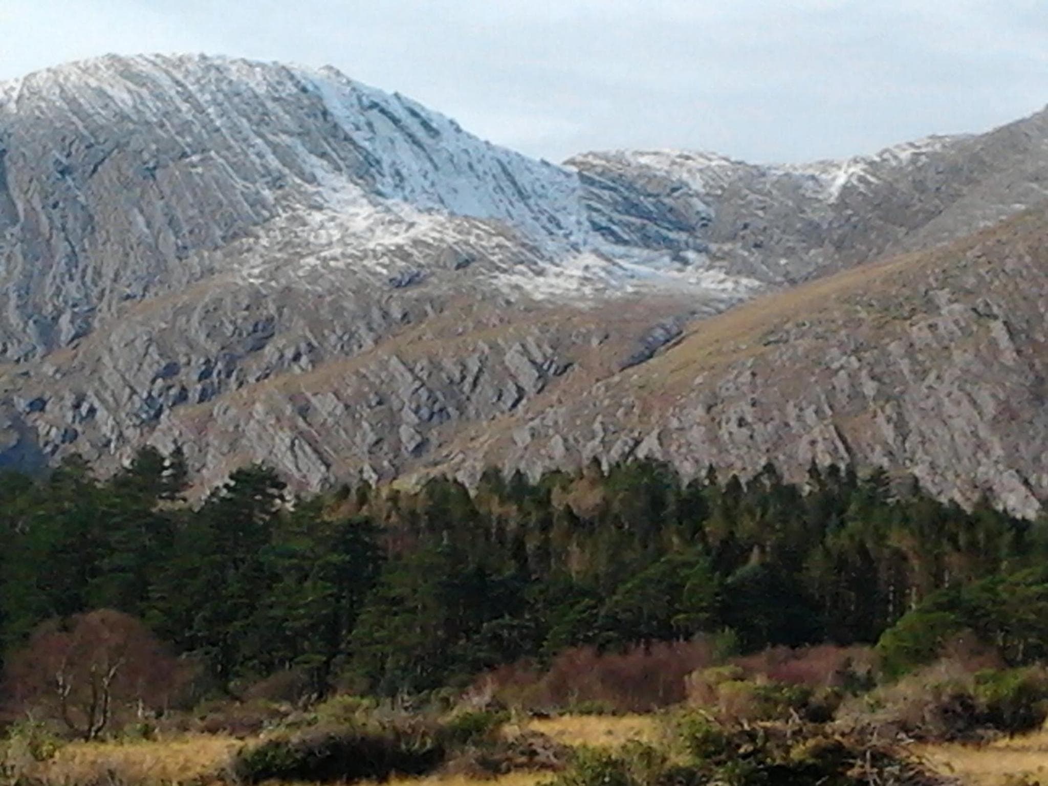 Betty's Cottage photo 3