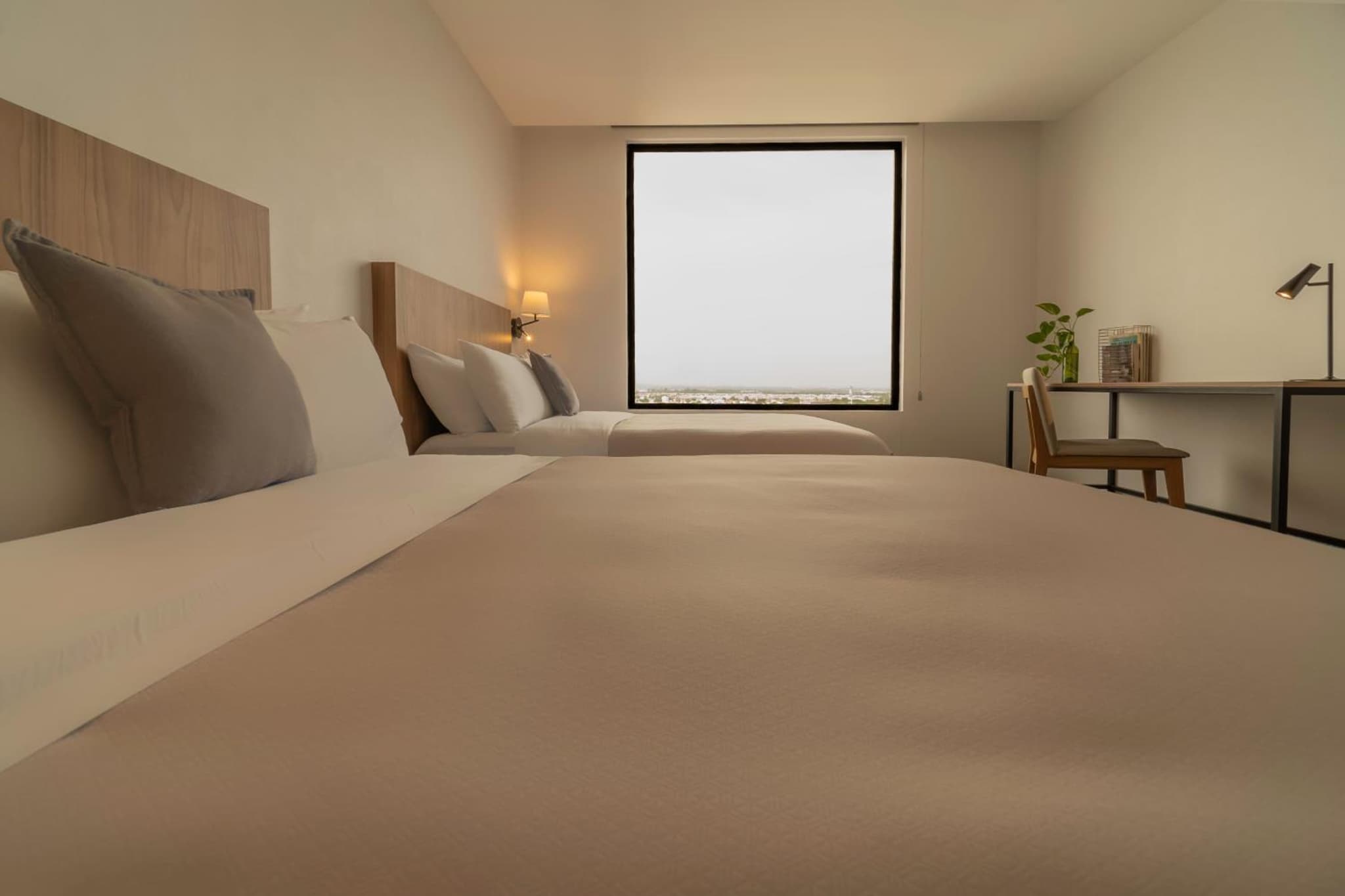 Stadía Suites Querétaro Centro Histórico photo 8