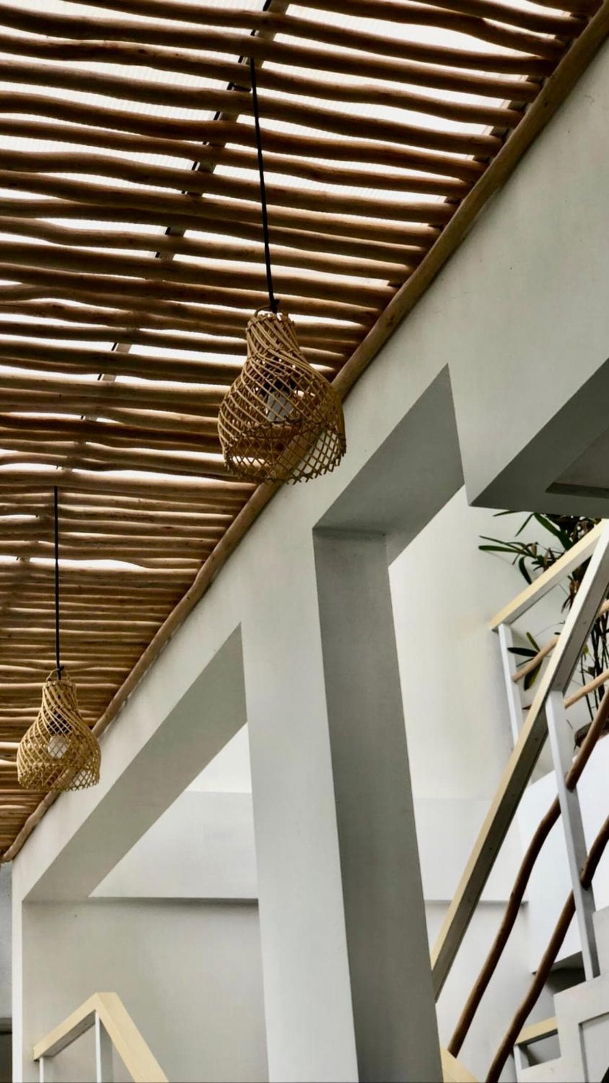 Best Canggu Hostel photo 5