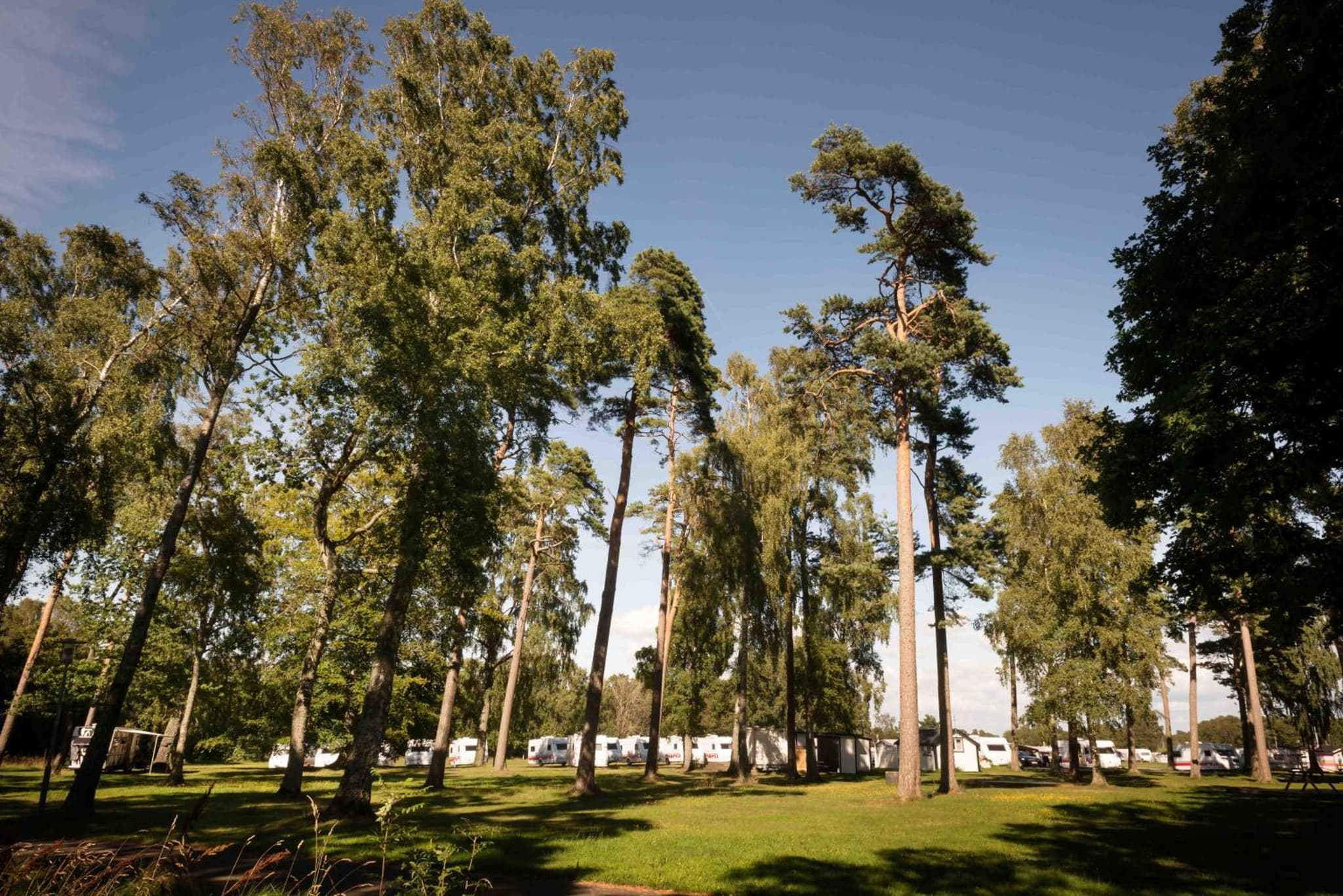 First Camp Karlstorp-Halmstad photo 8