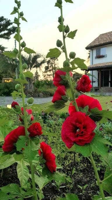 Bandi House photo 7