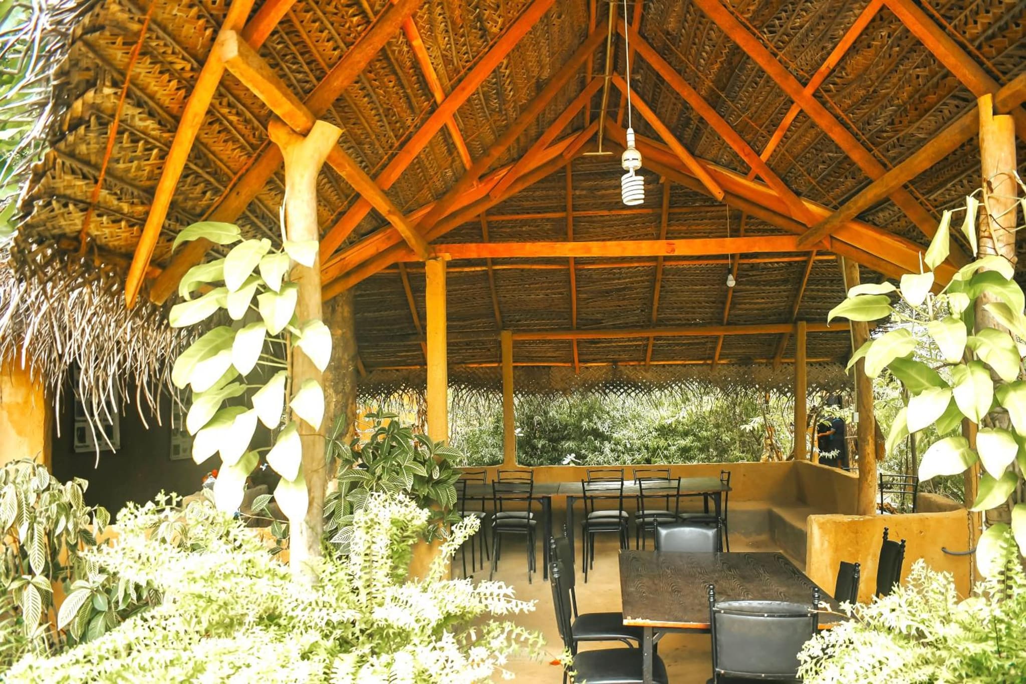 Dudley Nature Resort photo 5