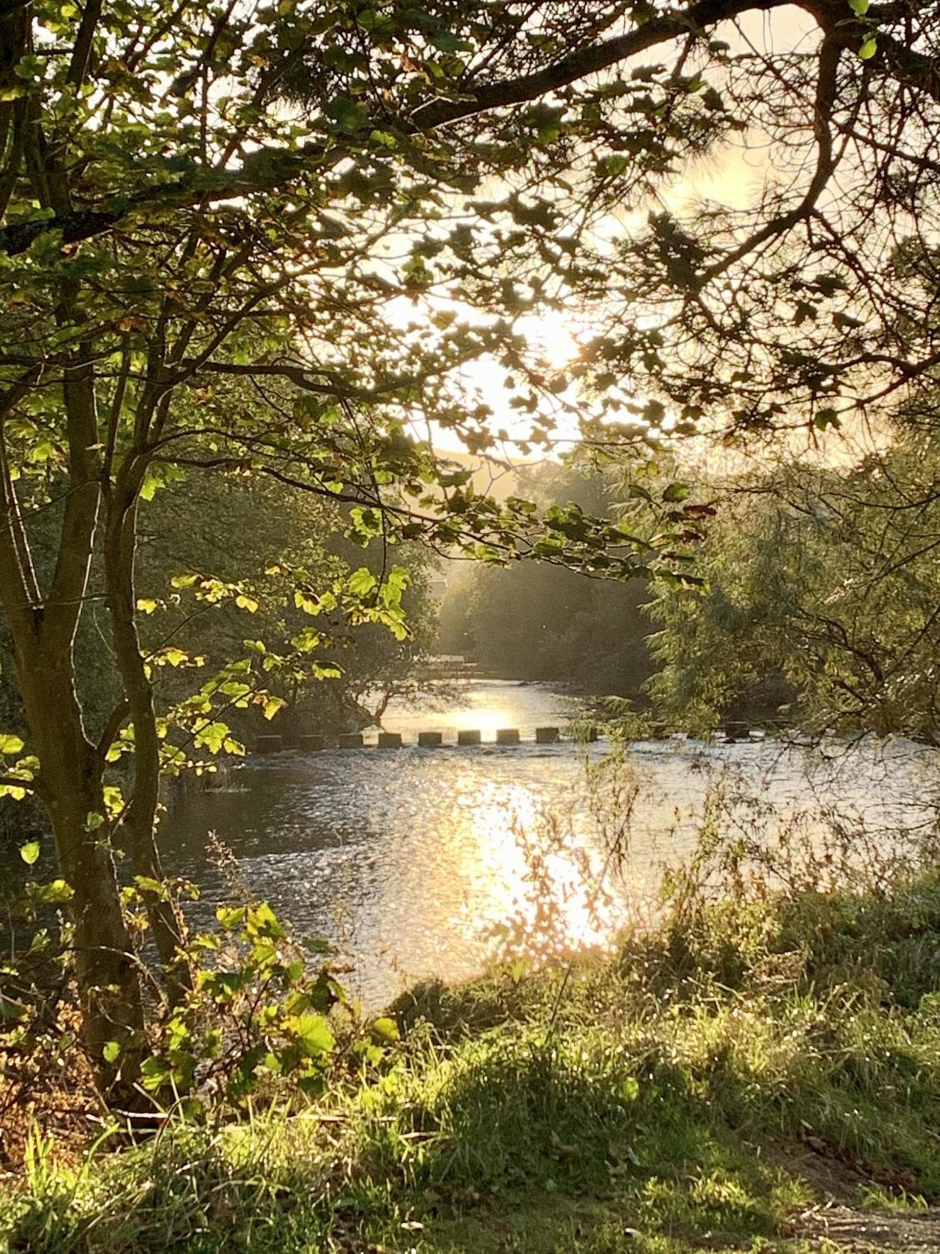 Turks Head Rothbury photo 3