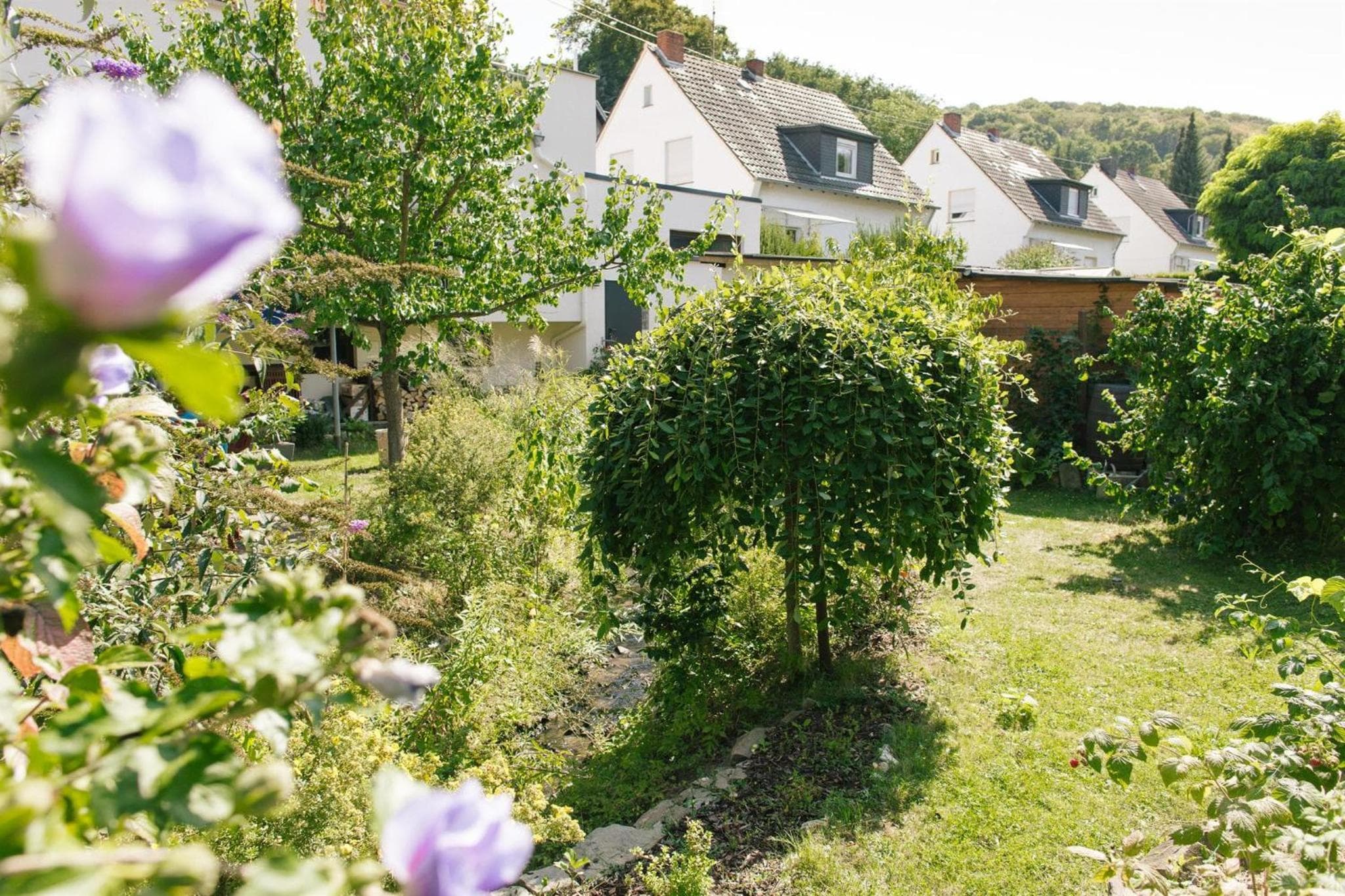 Ferienwohnung Am Breyer Talbach photo 2