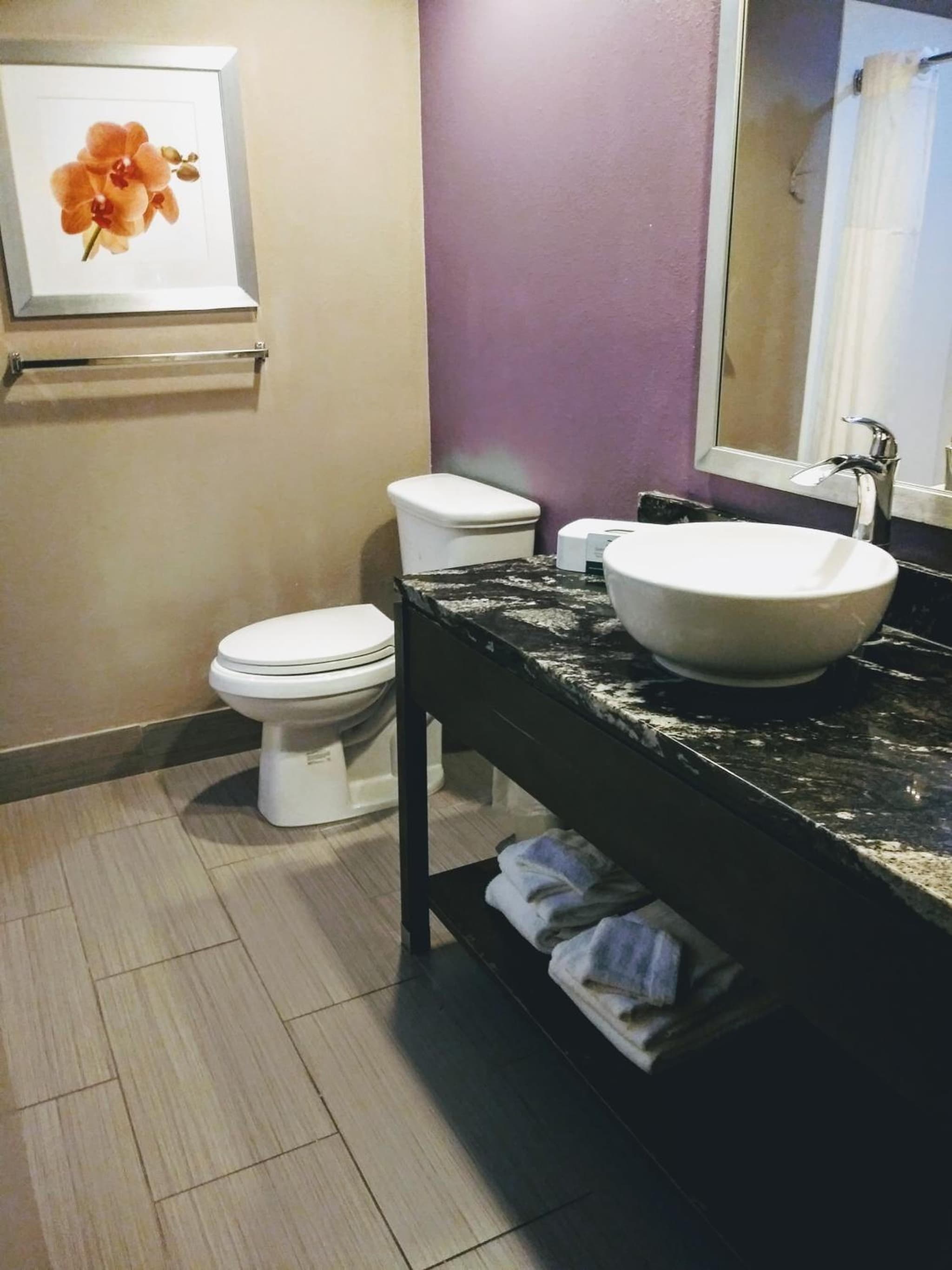 Quality Suites Fort Myers I-75 photo 7