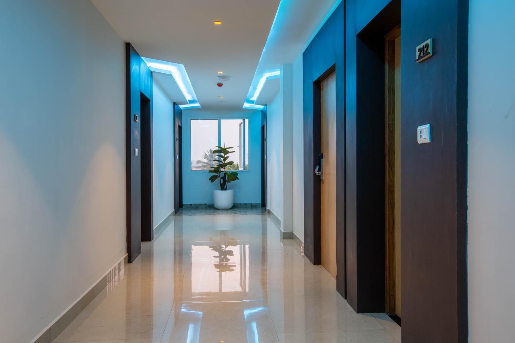 HOTEL BLUEMOON photo 9