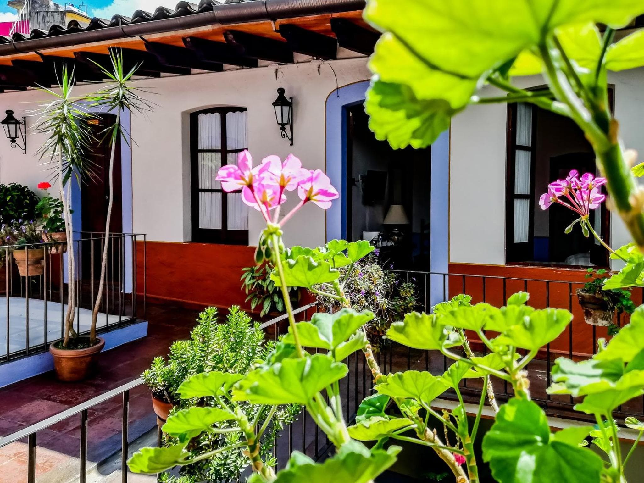Meson del Alferez Xalapa photo 3