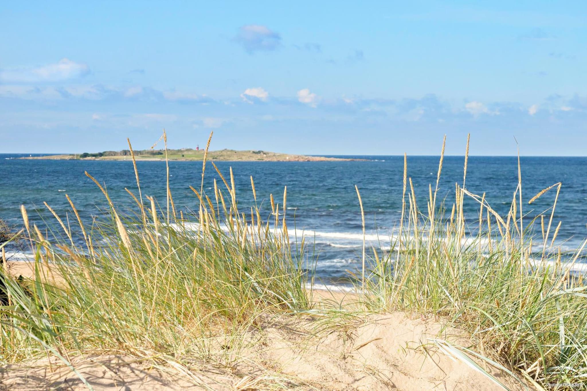 First Camp Tylösand-Halmstad photo 9