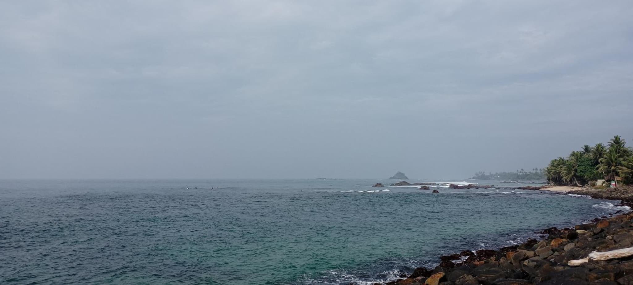 Surf Forever photo 6