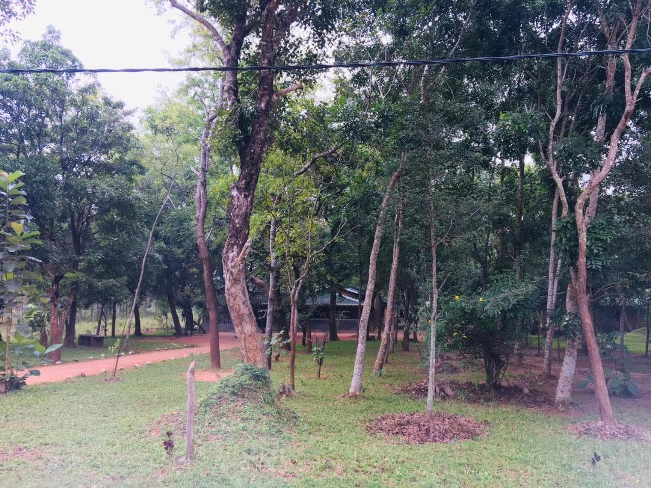 Eth Mansala photo 5