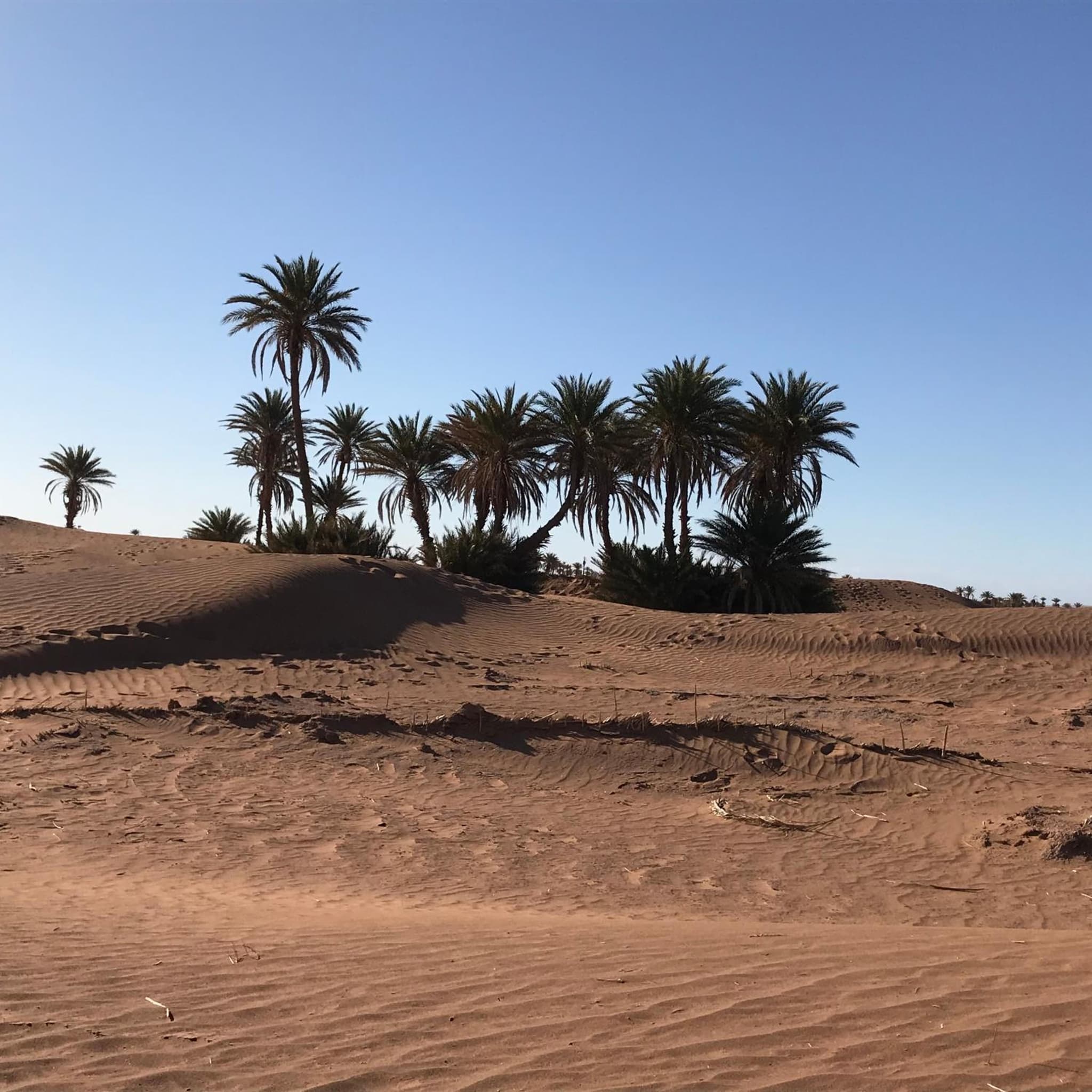 Kasbah Mashallah photo 7